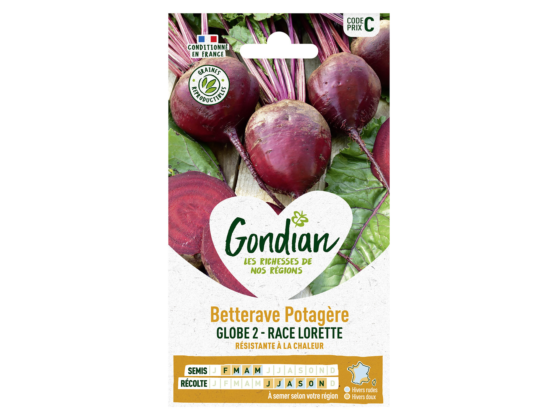 Betterave potagère Globe 2 race Lorette GONDIAN Série C