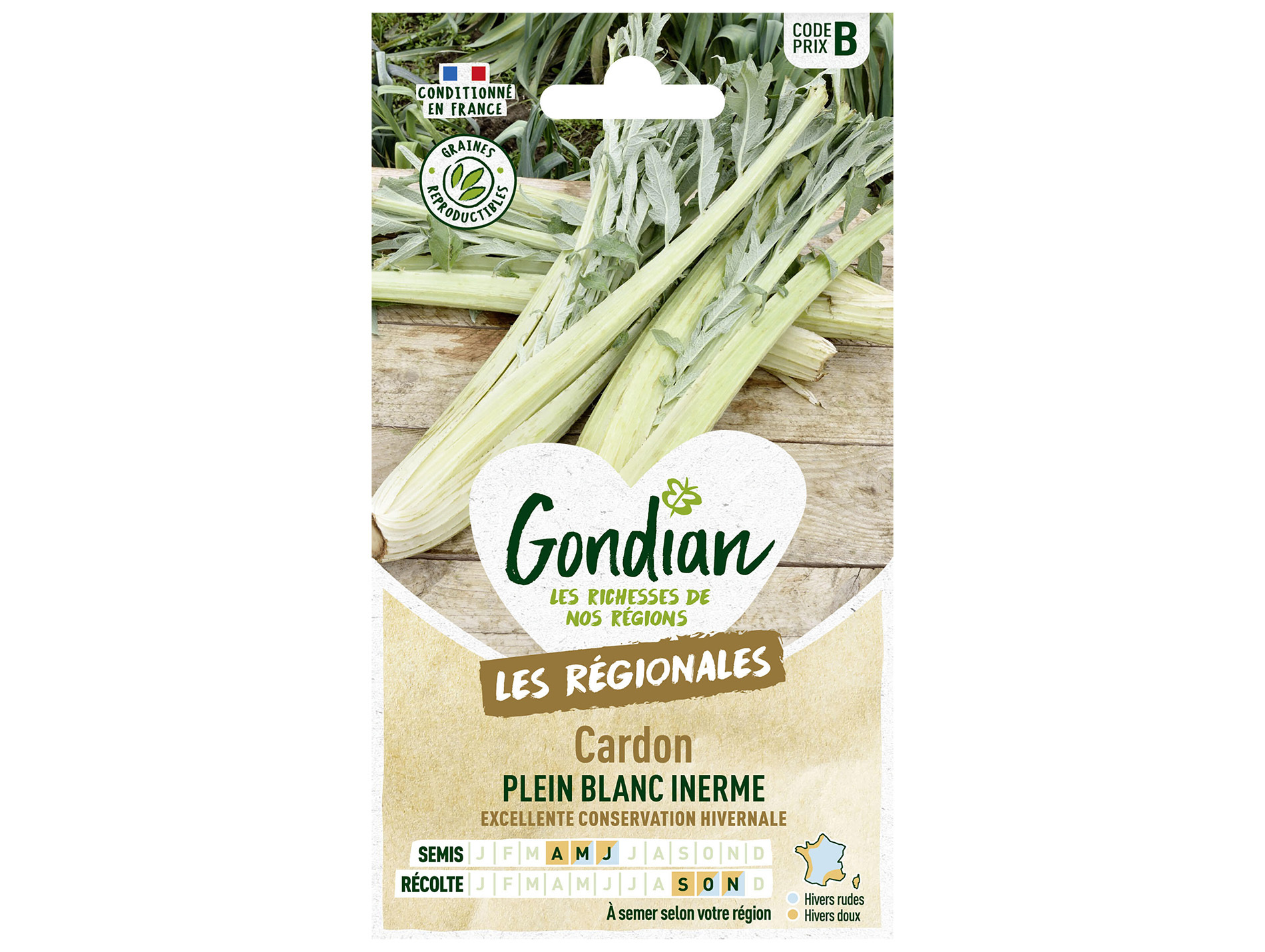 Cardon plein blanc inerme GONDIAN Série B