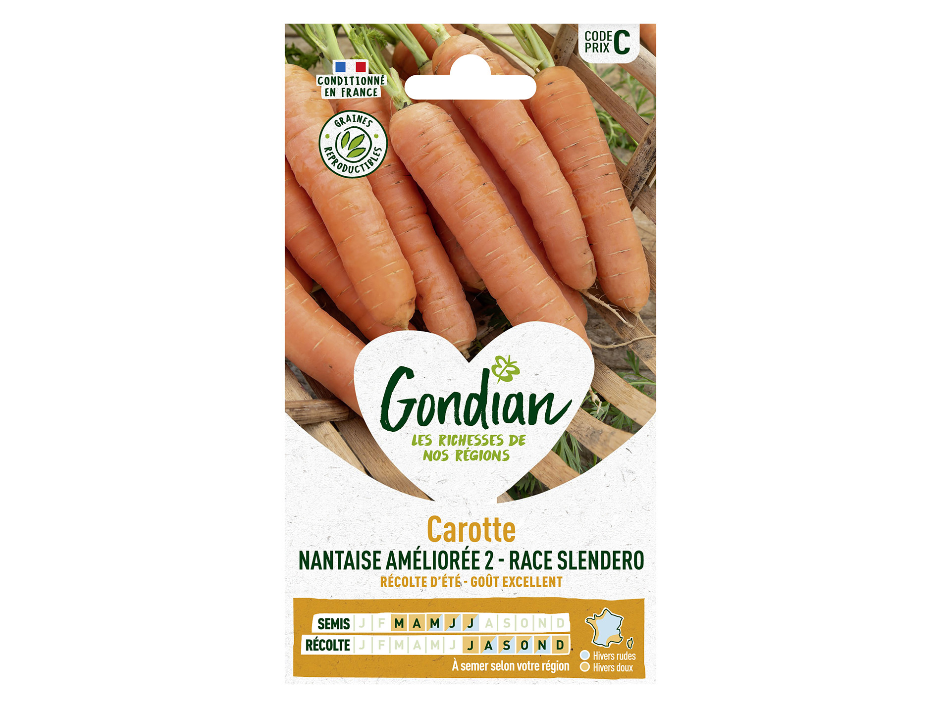Carotte nantaise améliorée 2 race Slendero GONDIAN Série C