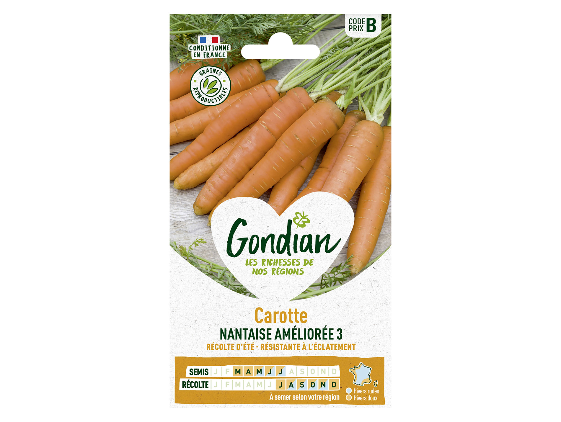 Carotte nantaise améliorée 3 GONDIAN Série B