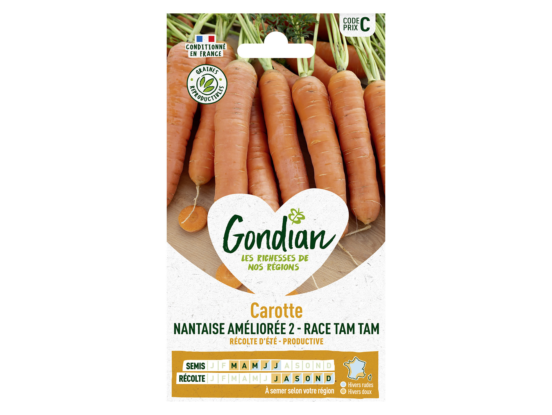 Carotte nantaise améliorée 3 race Tam Tam GONDIAN Série C