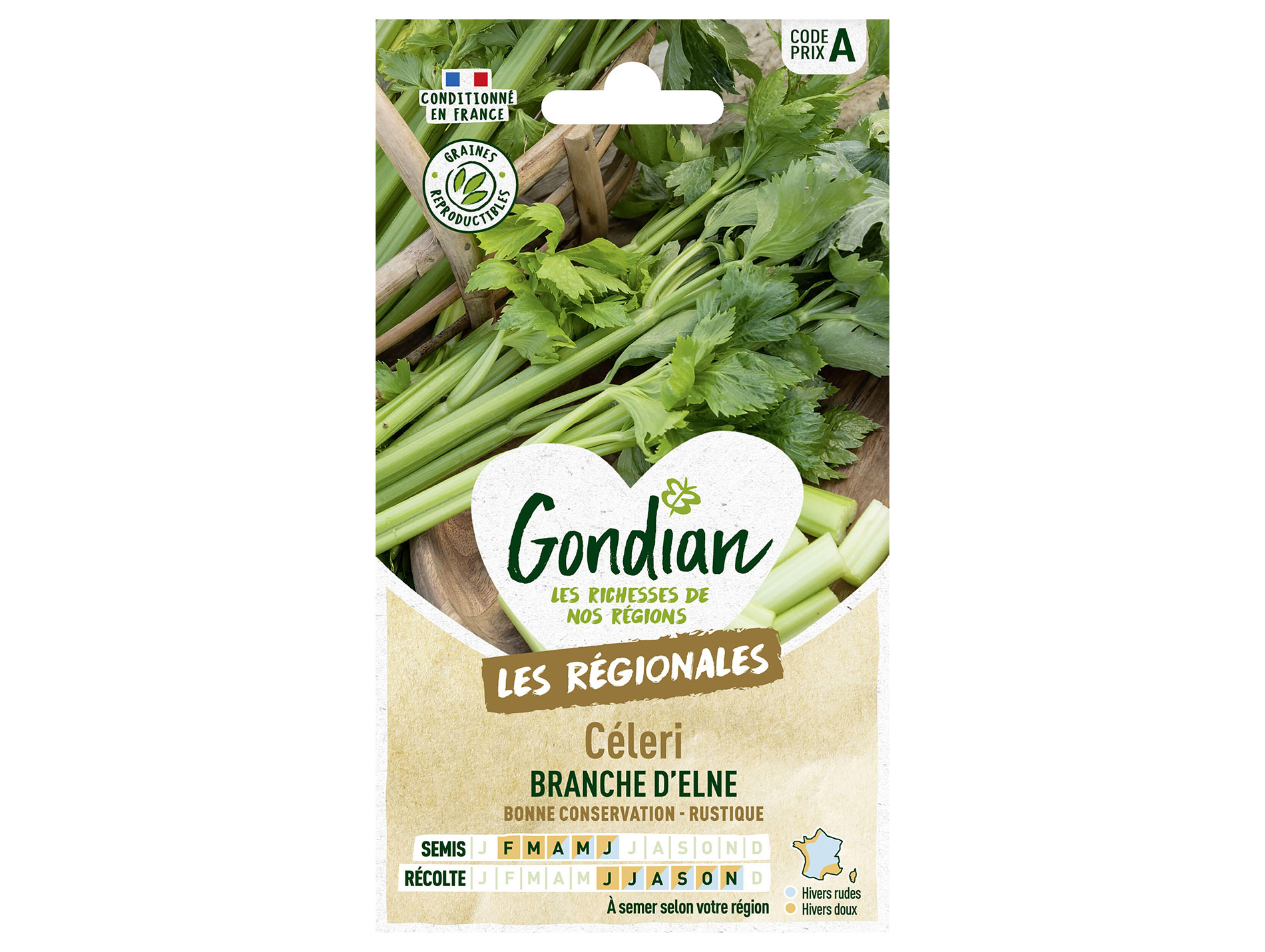 Céléri à branche Elne GONDIAN Série A