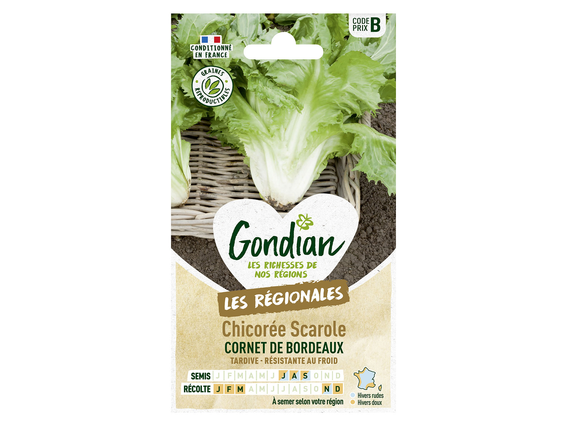 Chicorée Scarole Cornet de Bordeaux GONDIAN Série B