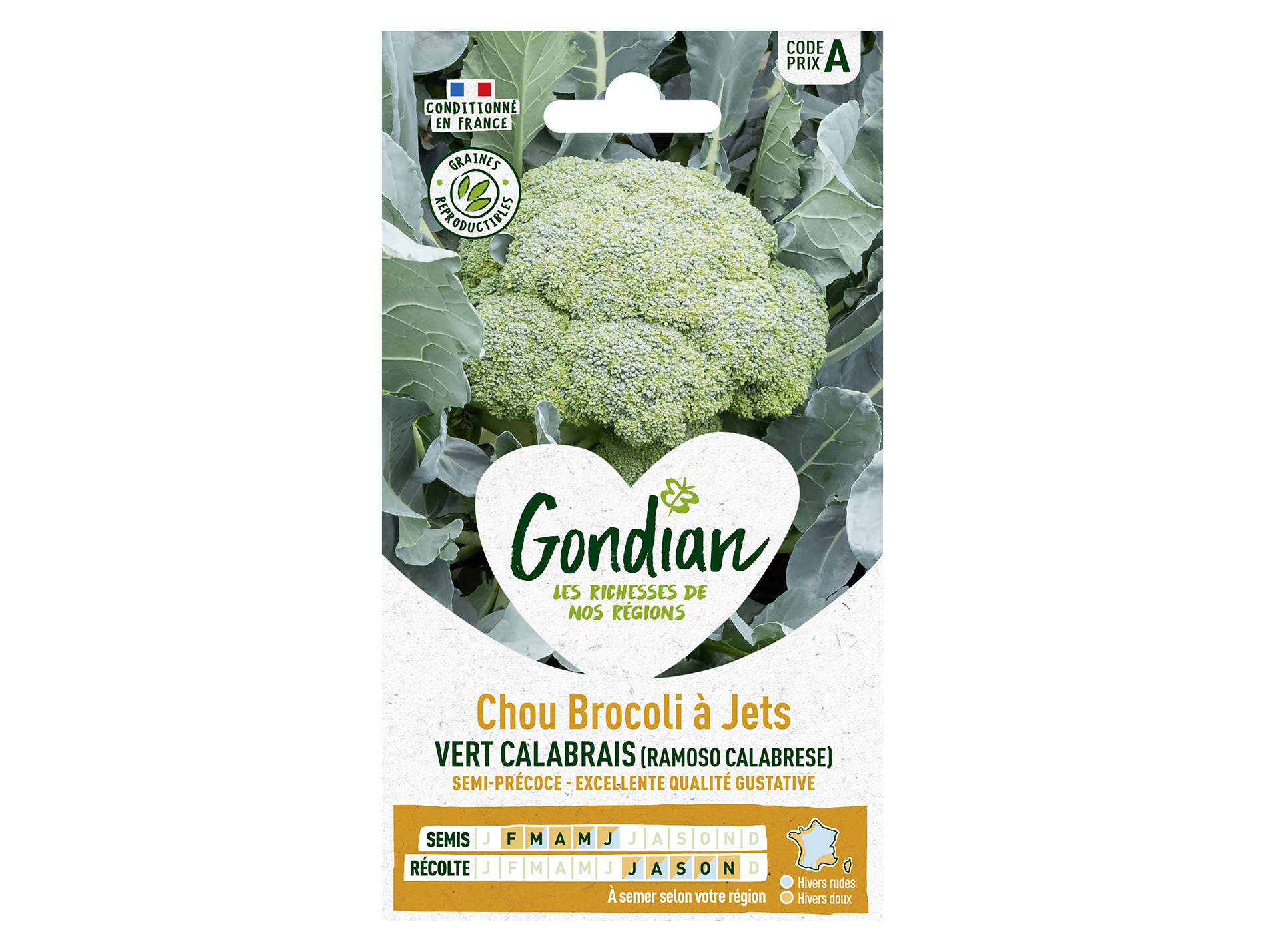 Chou brocoli vert Calabrais GONDIAN Série A