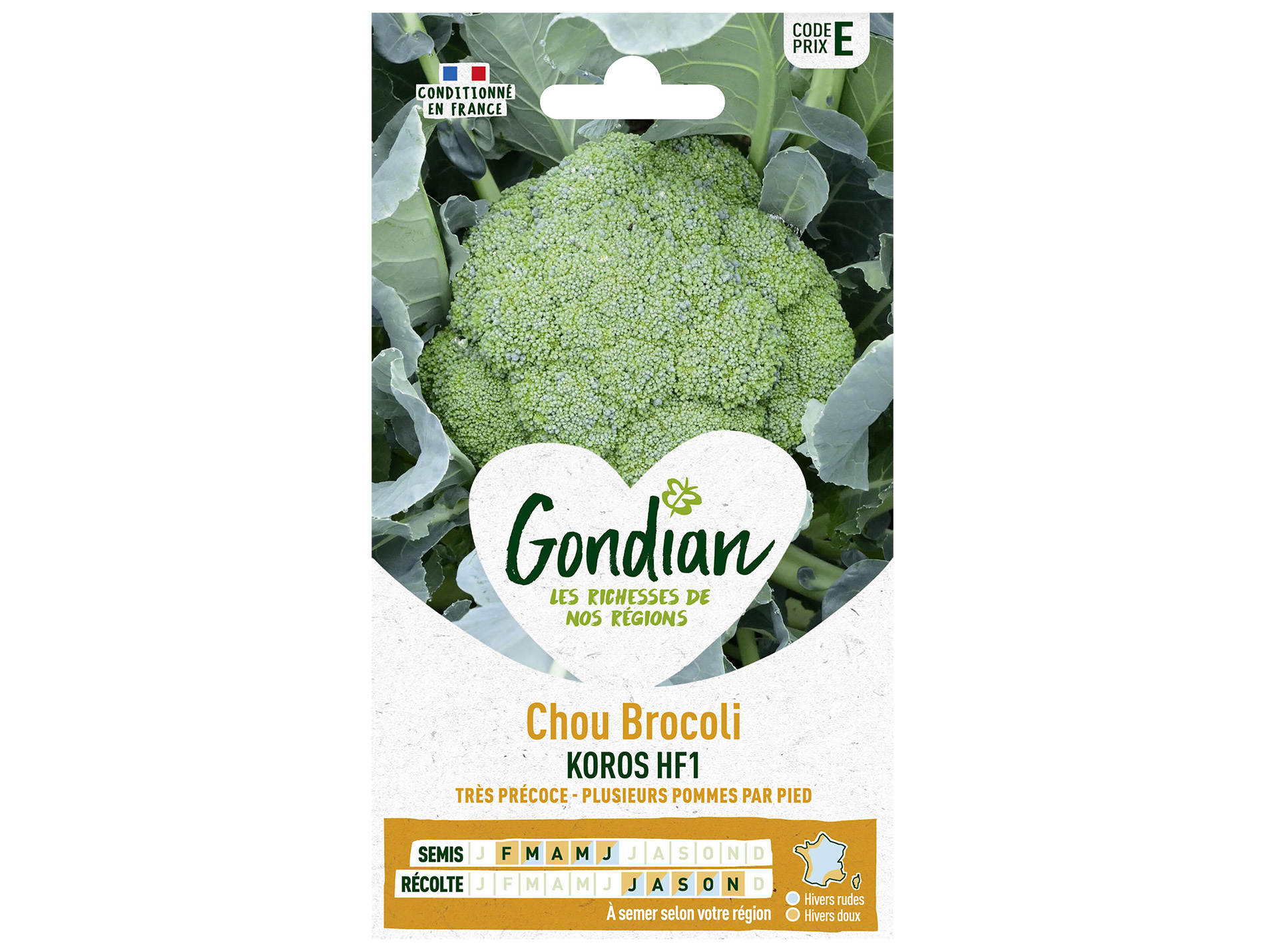Chou brocoli koros HF1 GONDIAN Série E