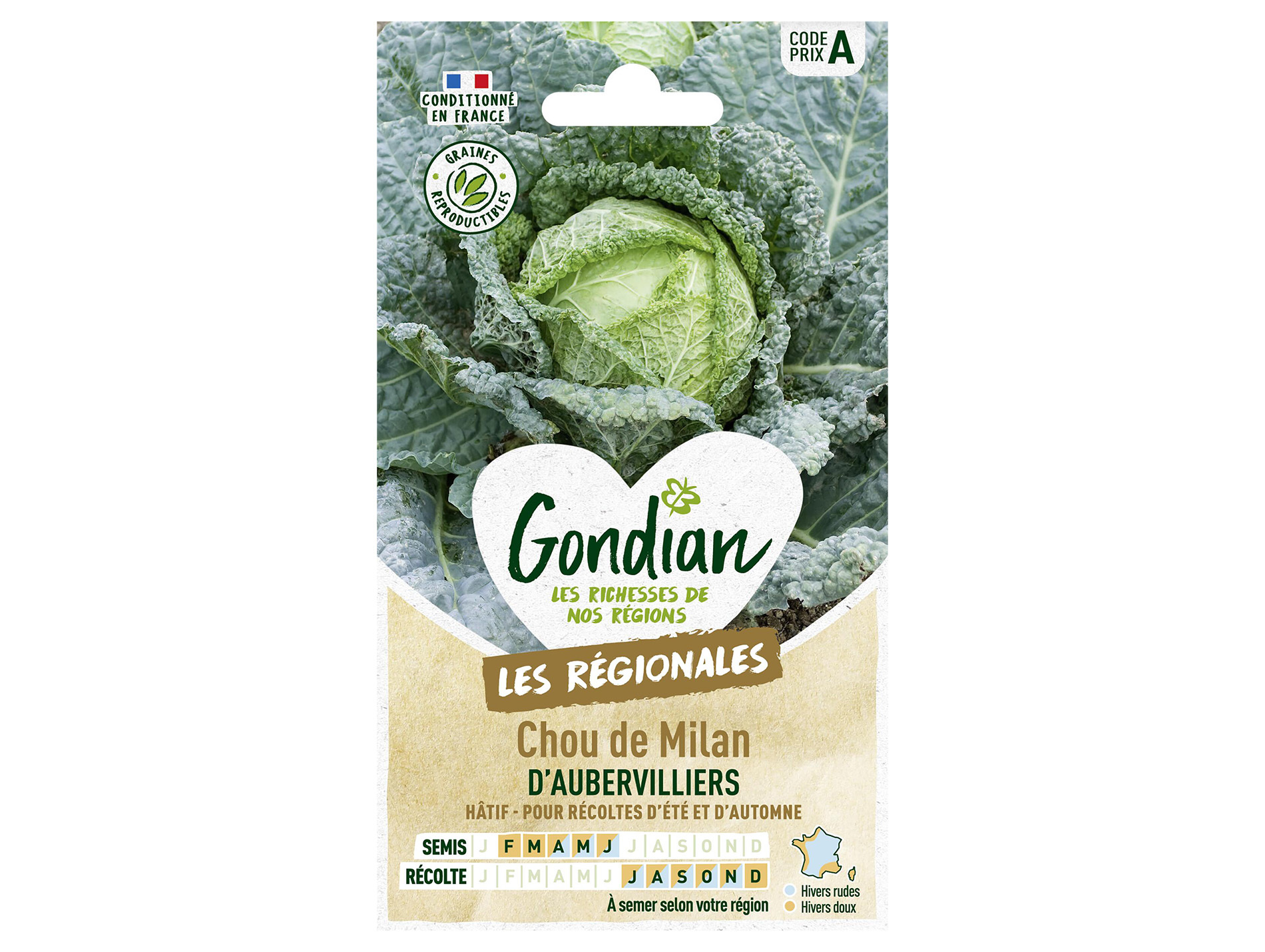 Chou milan Aubervilliers GONDIAN Série A