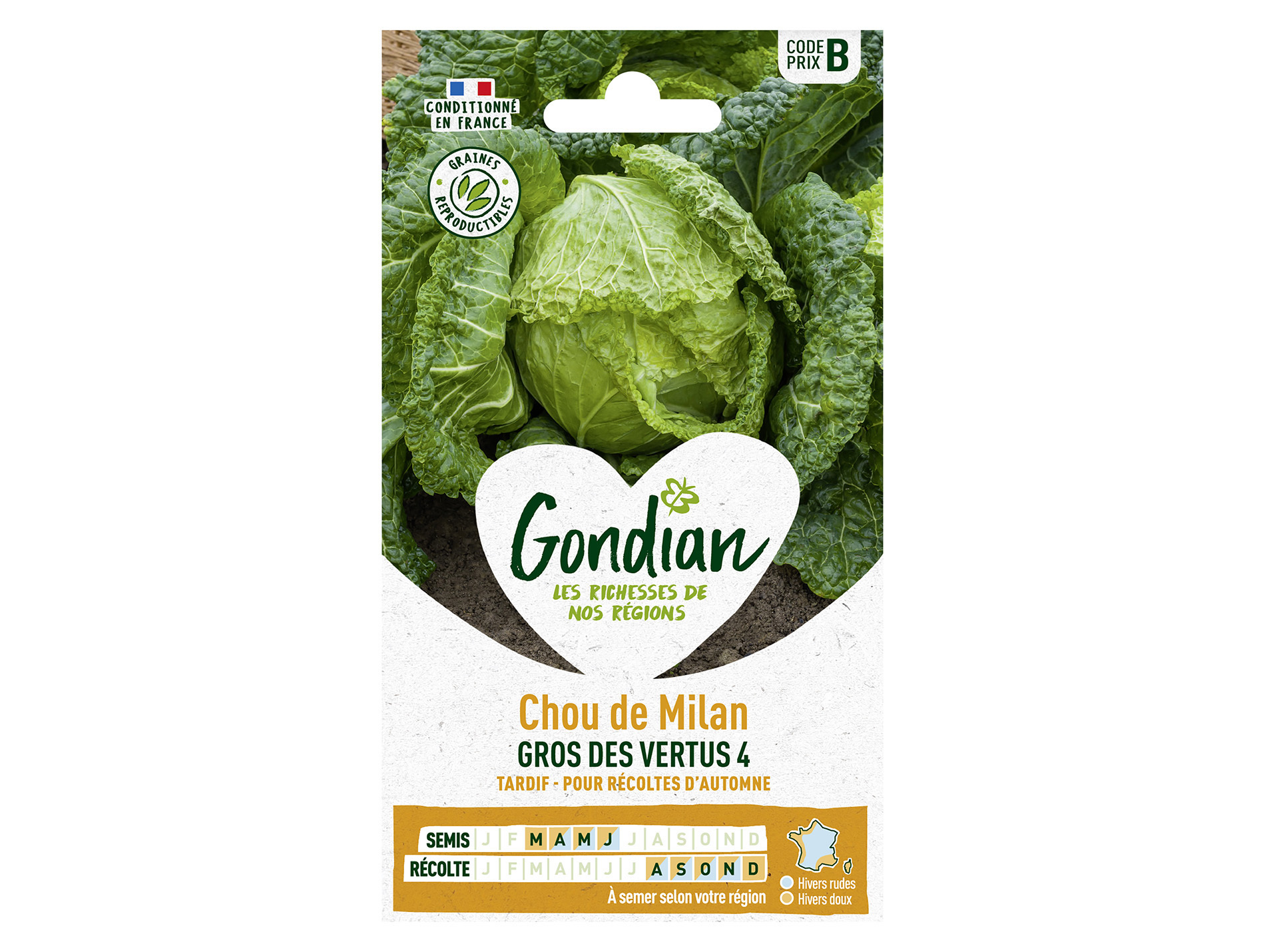 Chou milan Gros des Vertus 4 GONDIAN Série B