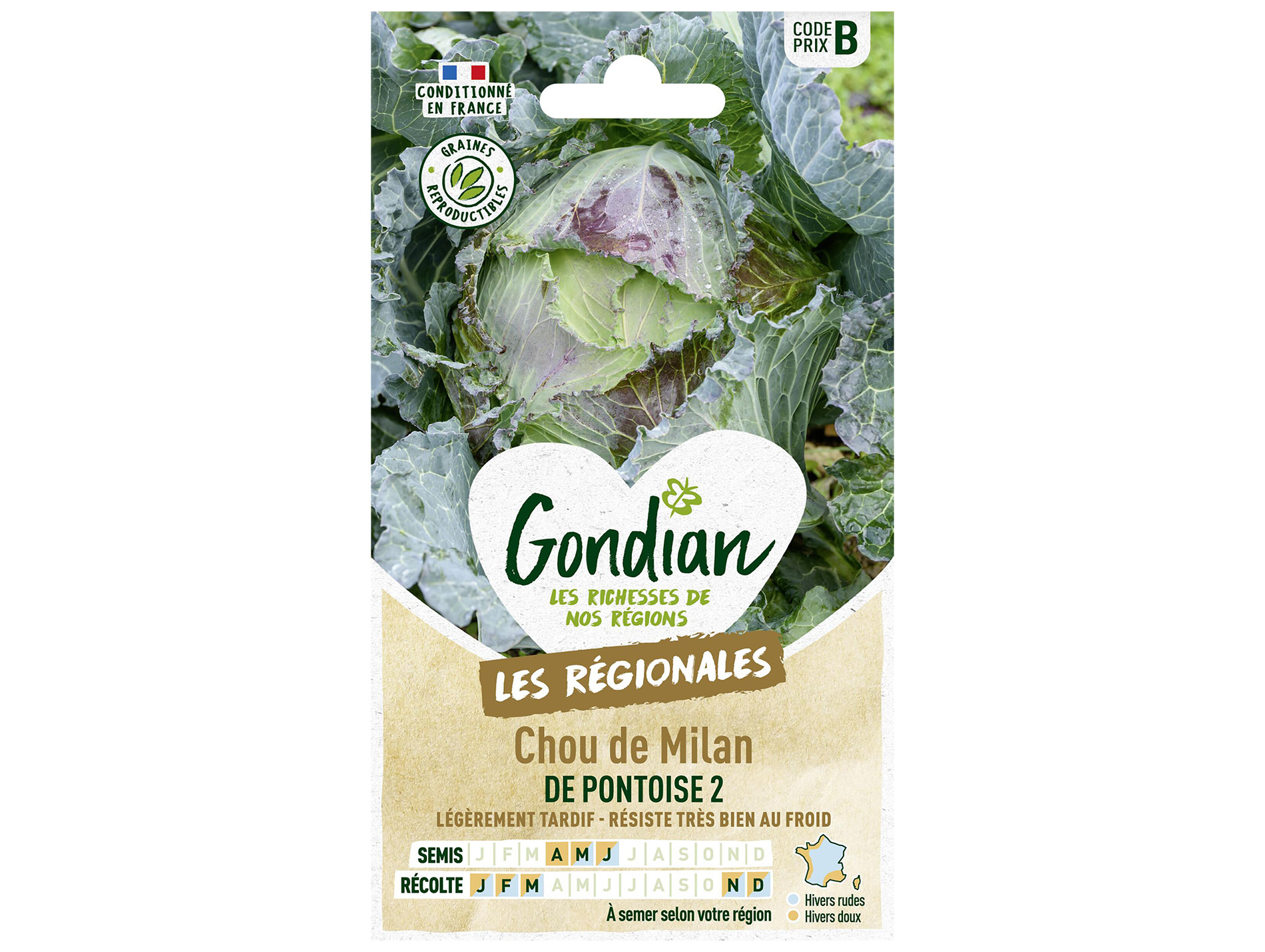 Chou milan Pontoise 2 GONDIAN Série B