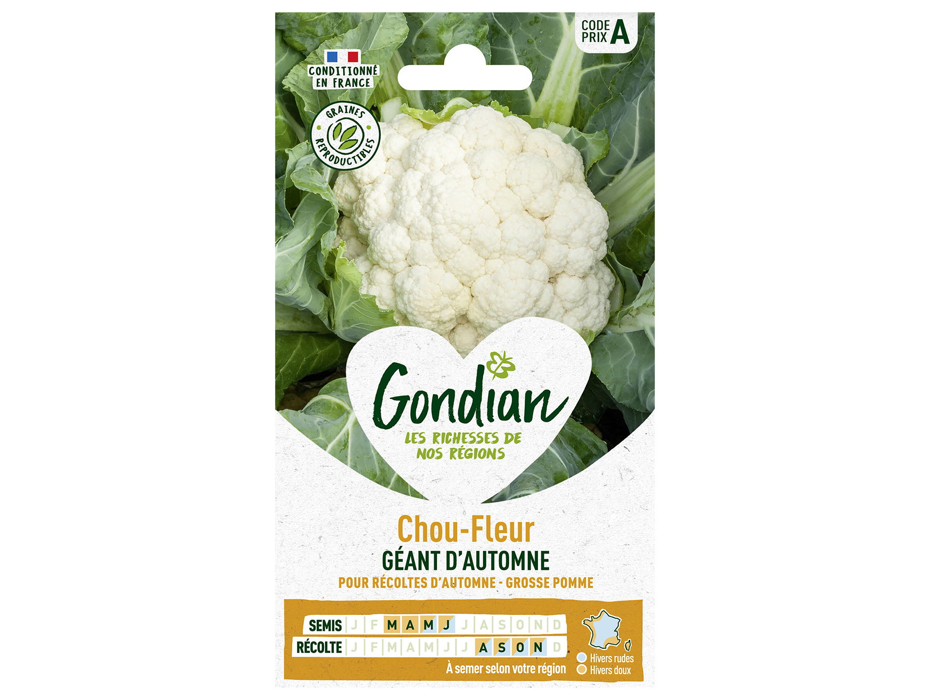 Chou fleur Géant Automne GONDIAN Série A