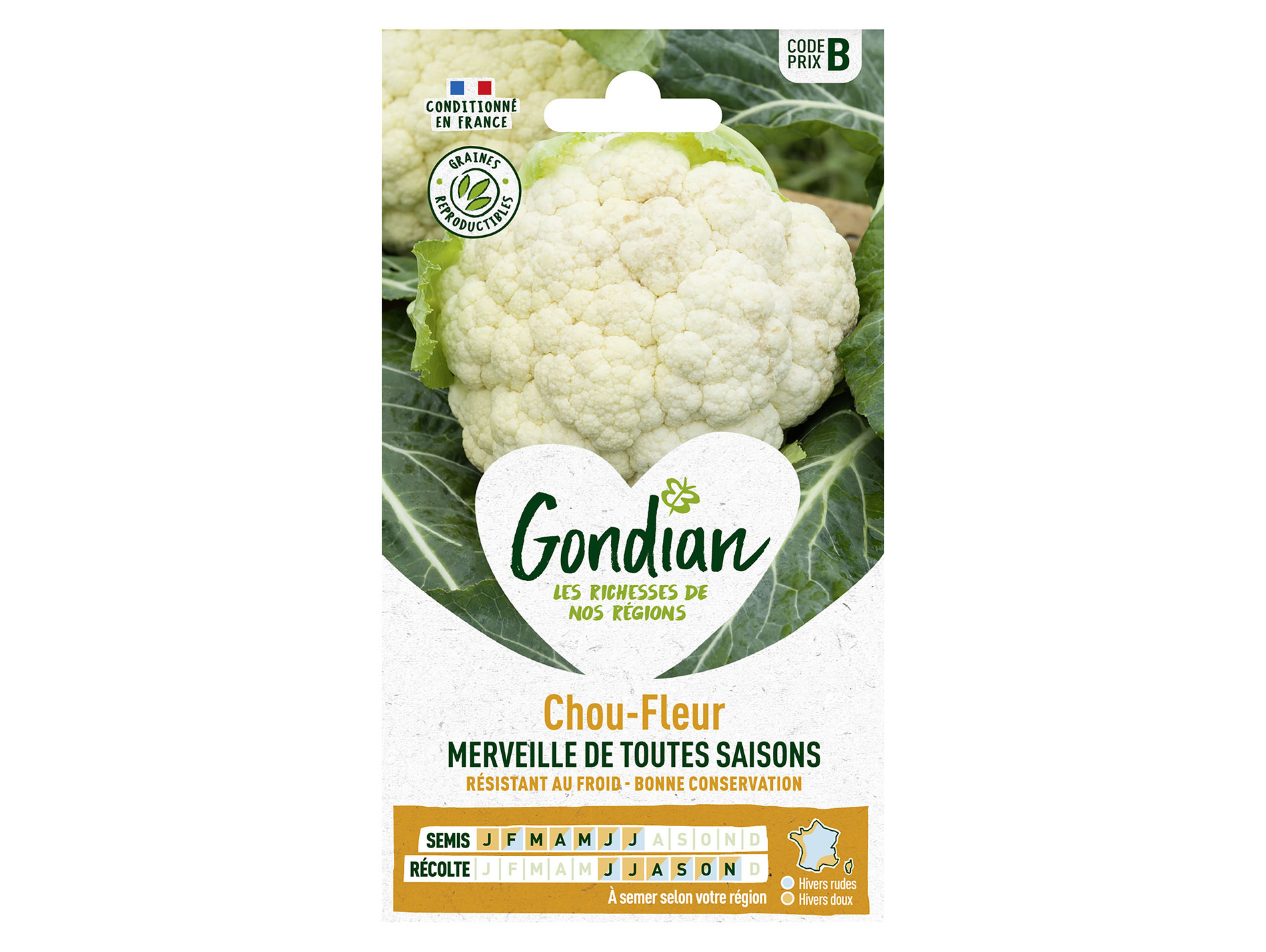 Chou fleur Merveille de toutes saisons GONDIAN Série B