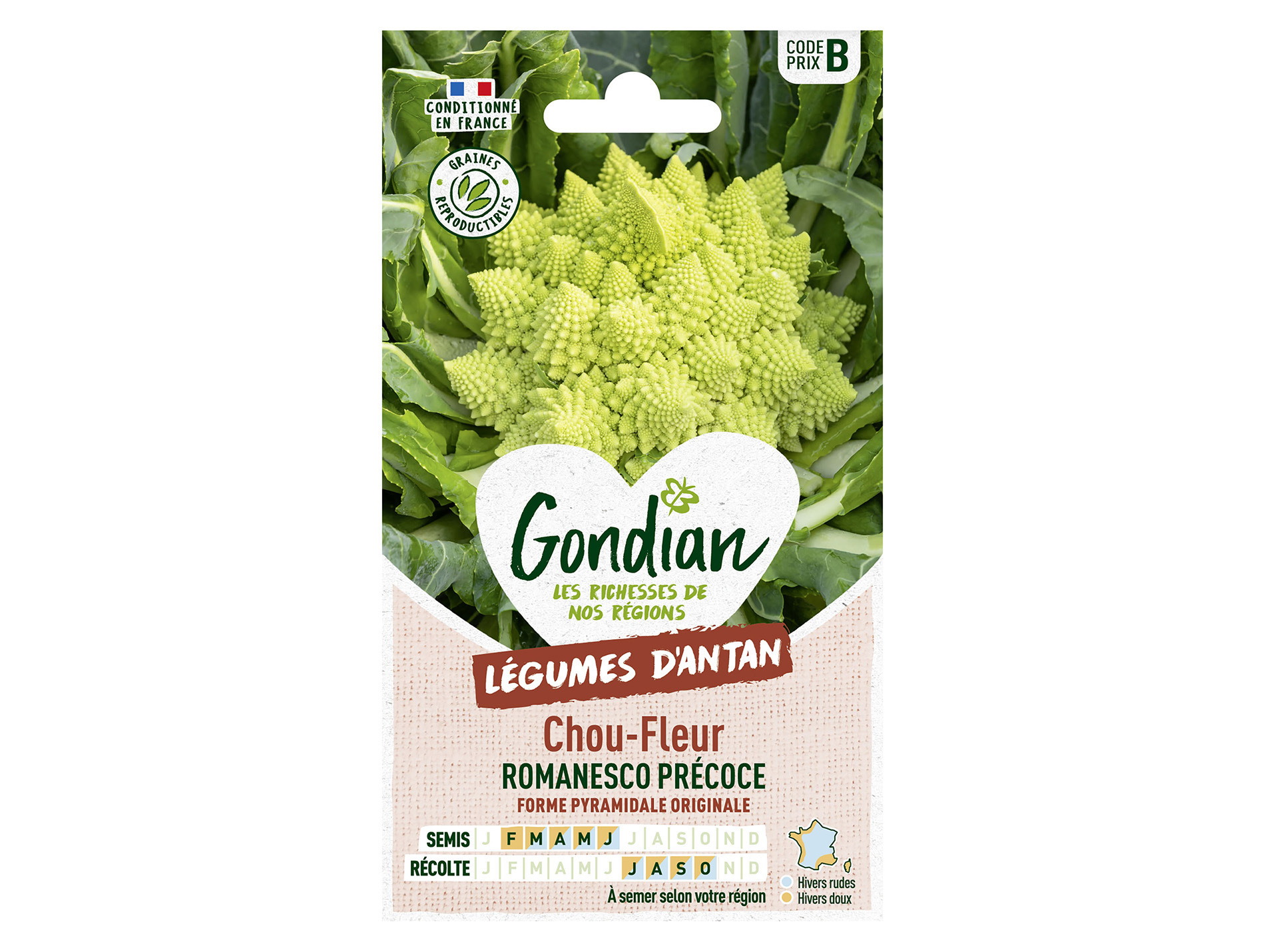 Chou fleur Romanesco GONDIAN Série B