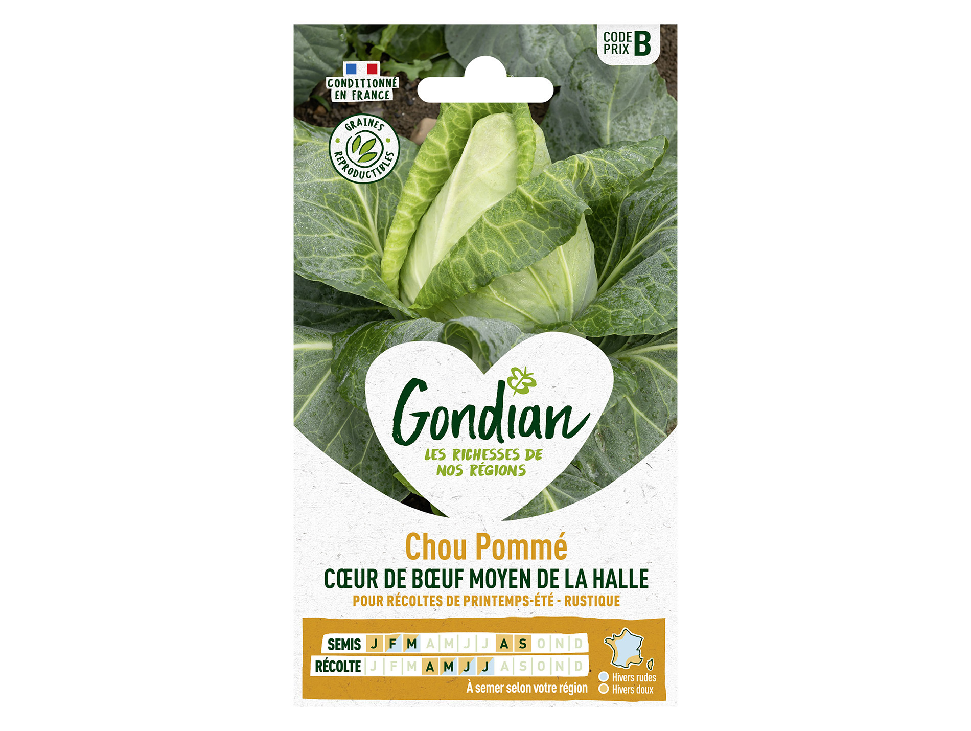 Chou pommé Coeur de boeuf GONDIAN Série B
