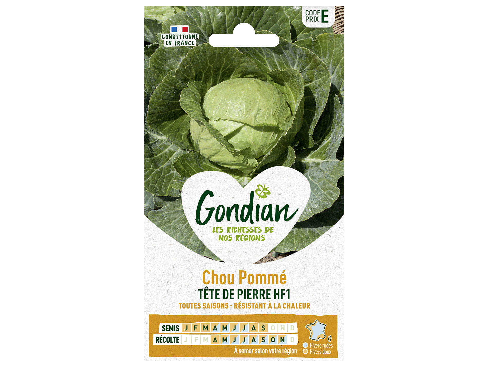 Chou pommé Tête de Pierre HF1 GONDIAN Série E