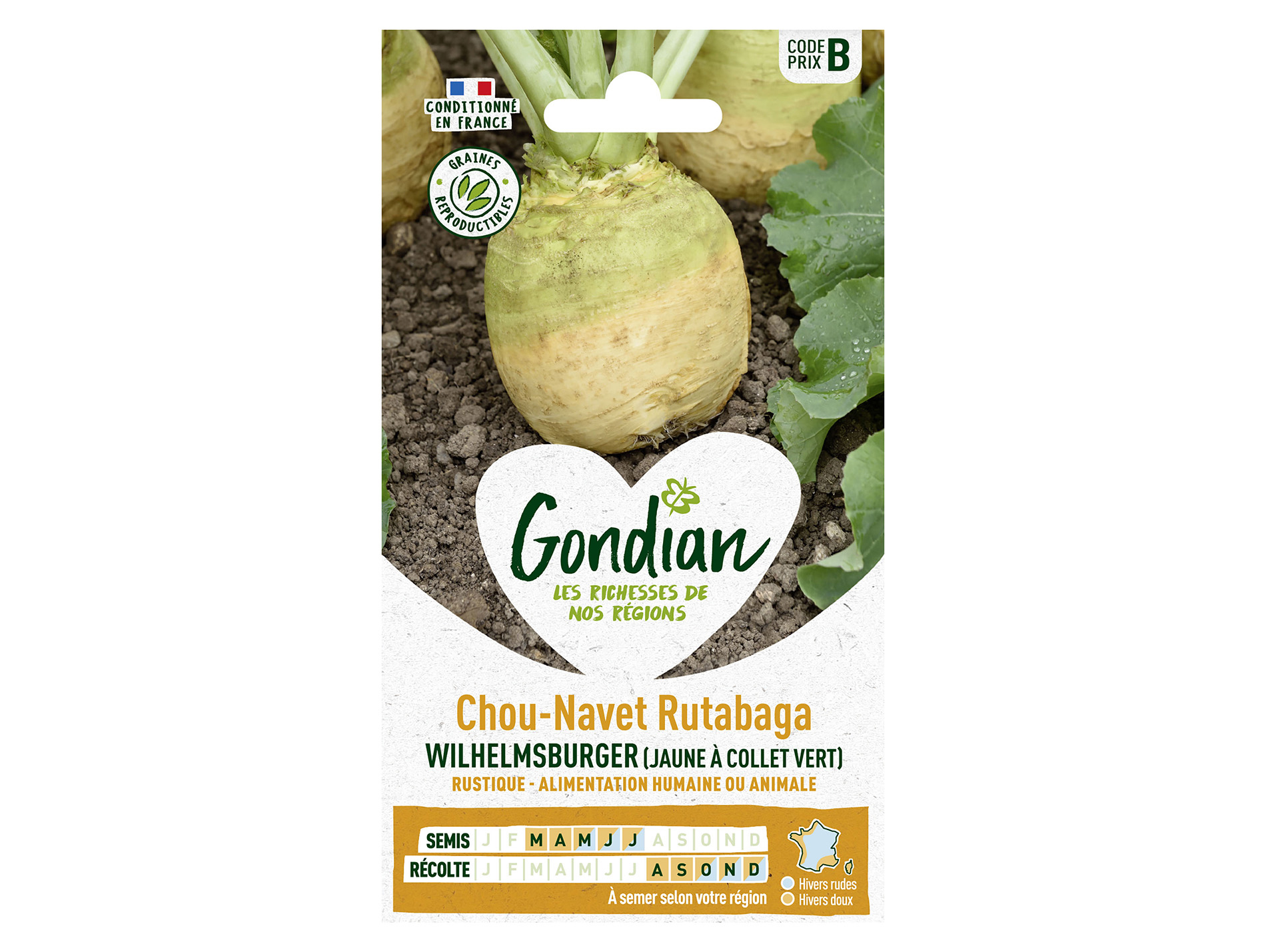 Chou navet rutabaga Wilhemsburger GONDIAN Série B