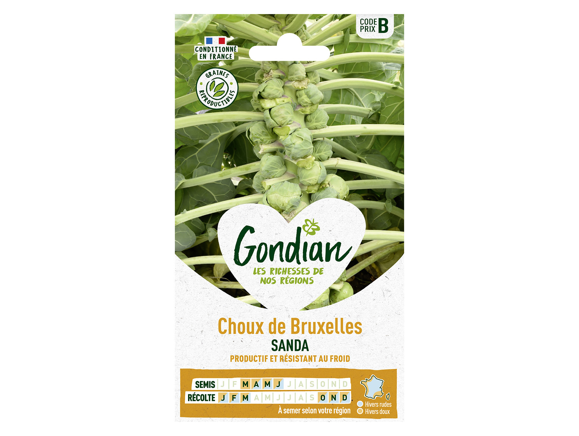 Choux Bruxelles Sanda GONDIAN Série B