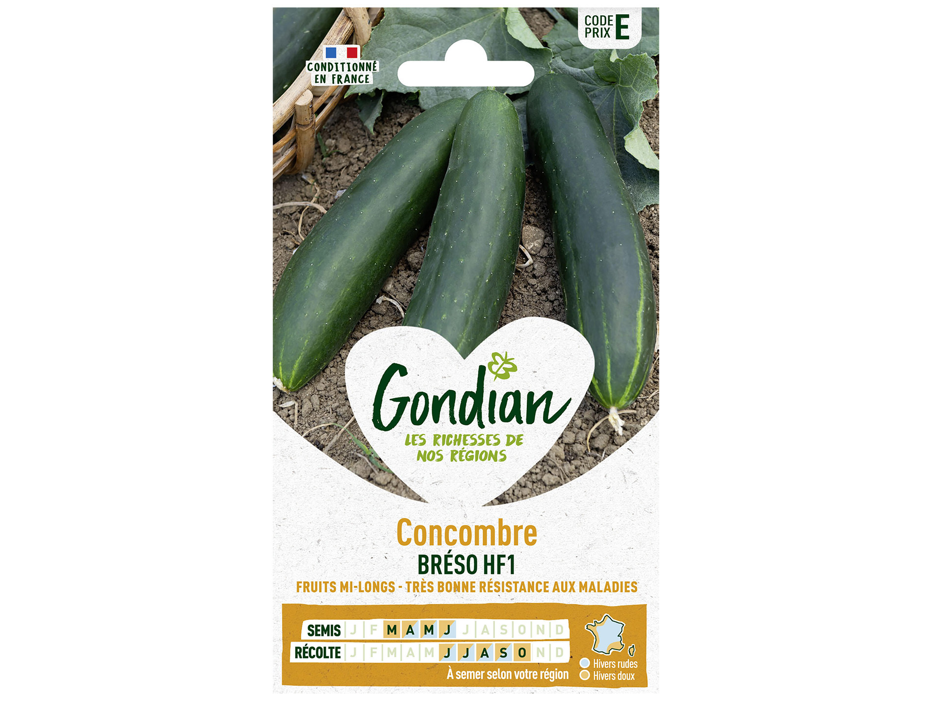 Concombre Breso HF1 GONDIAN Série E