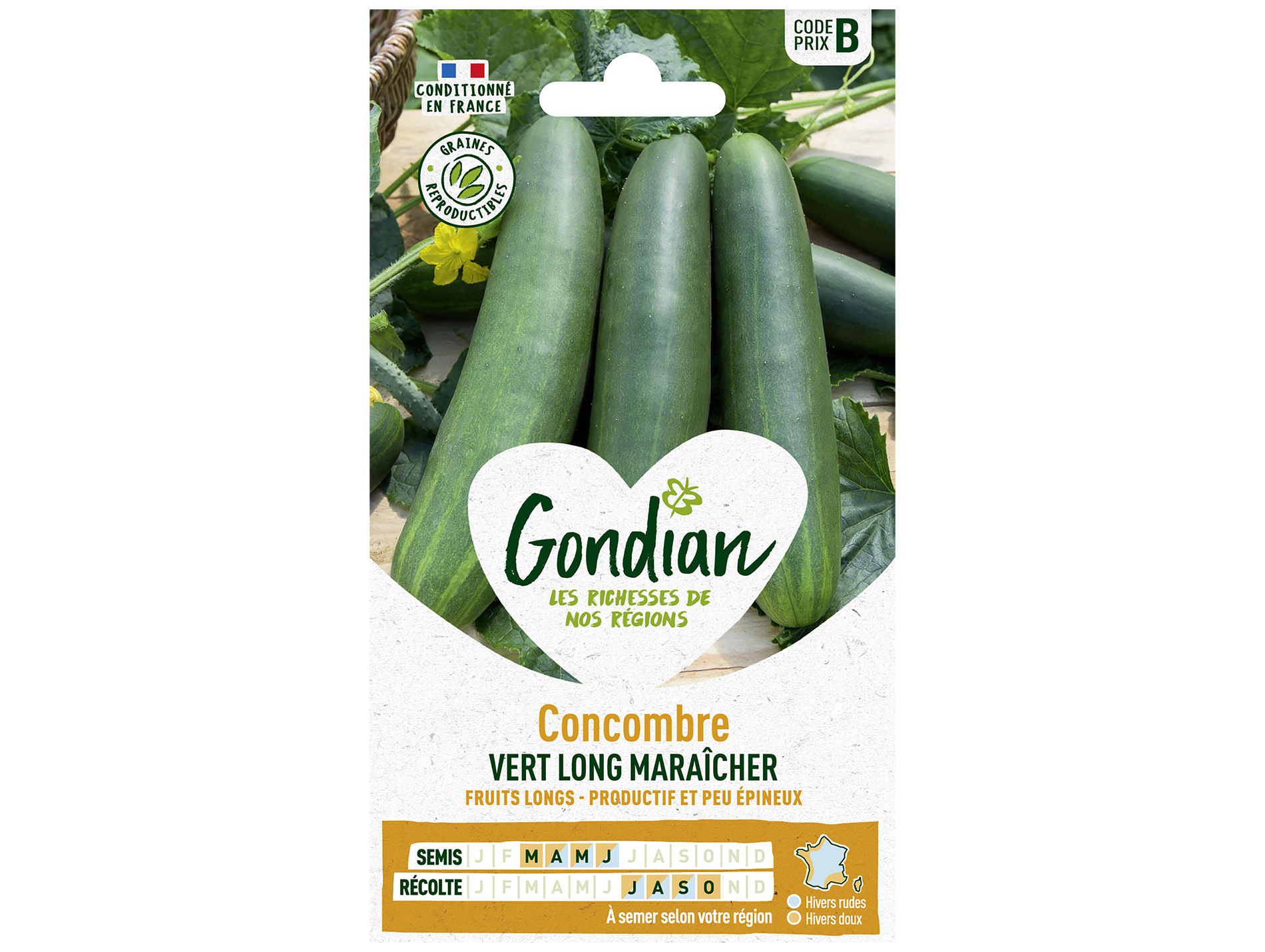 Concombre vert long maraîcher GONDIAN Série B