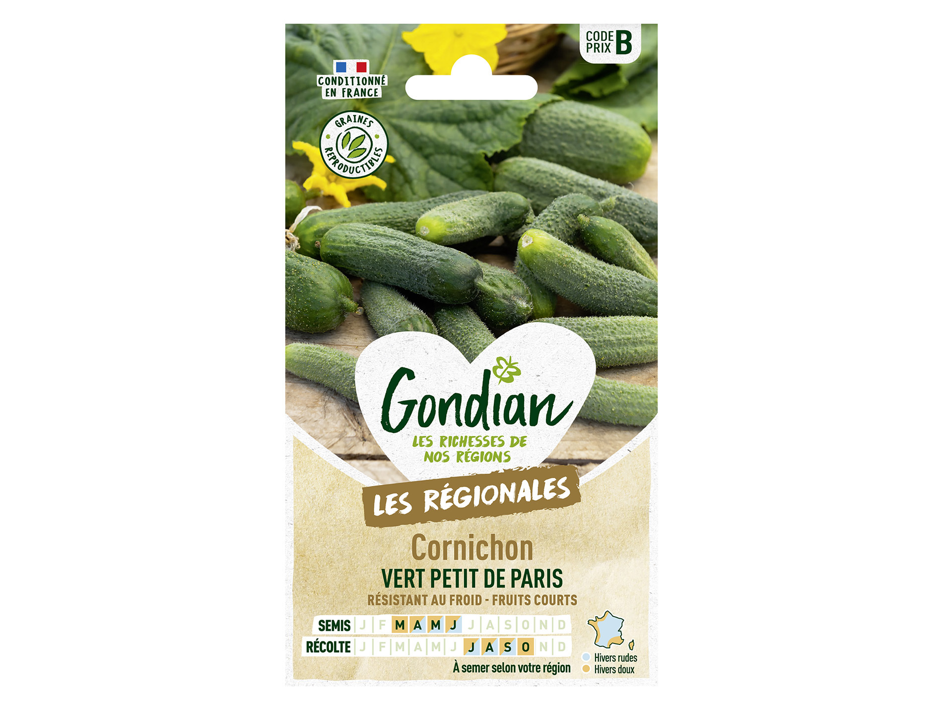 Cornichon petit de Paris GONDIAN Série B