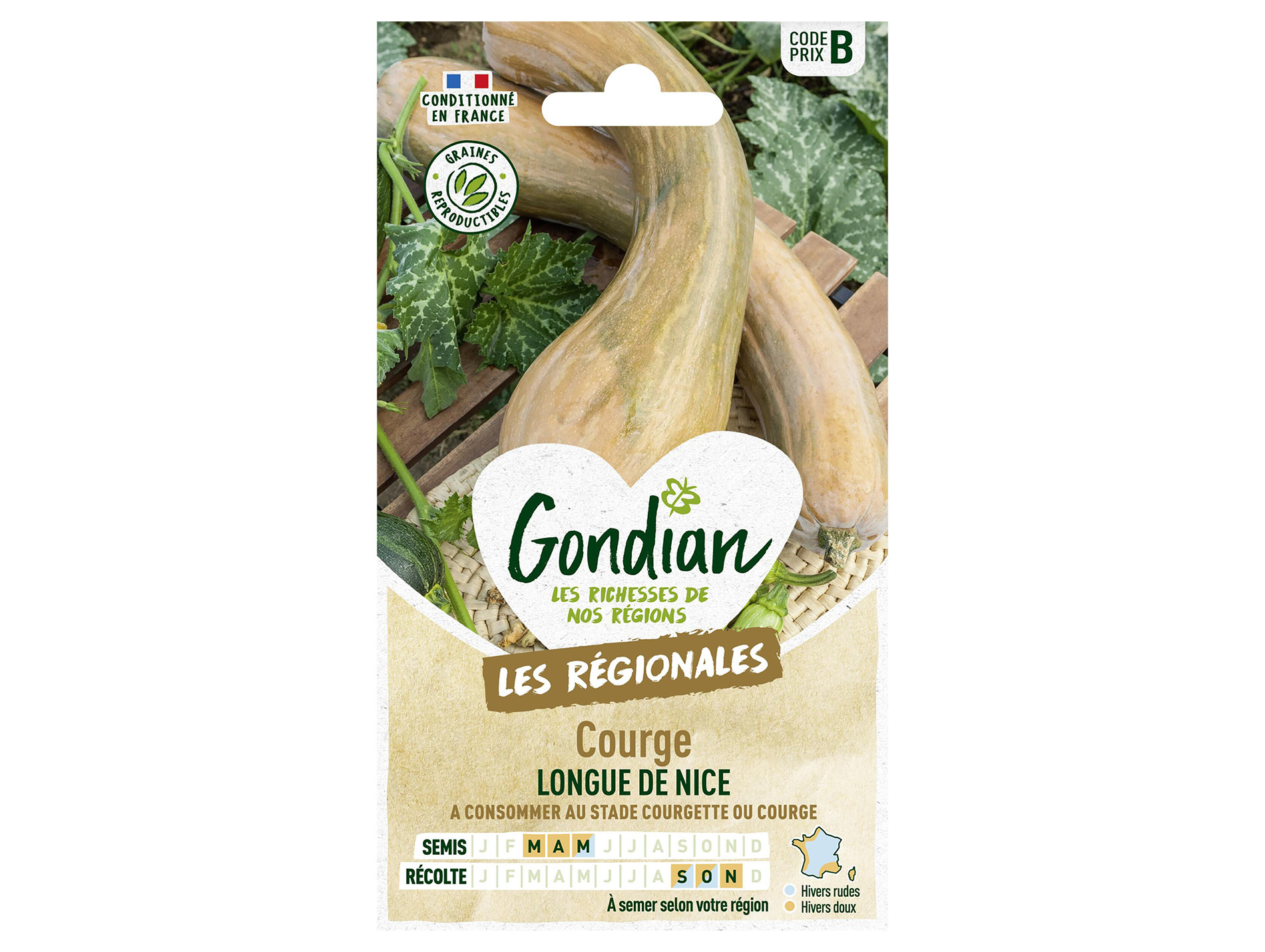 Courge longue de Nice GONDIAN Série B