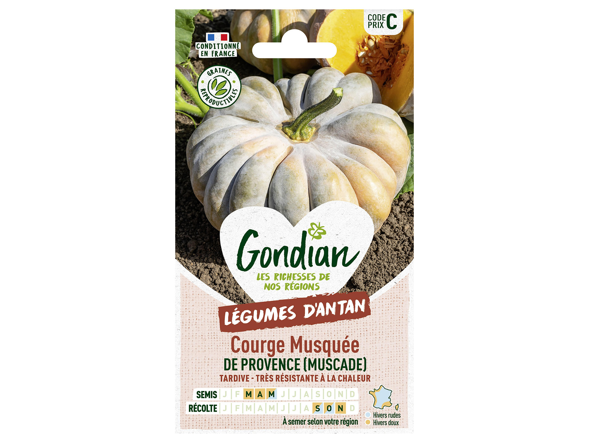 Courge musquée de Provence GONDIAN Série C