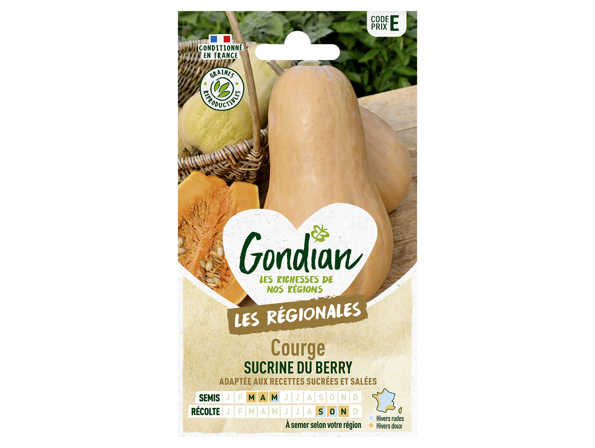 Courge Sucrine du Berry GONDIAN Série E