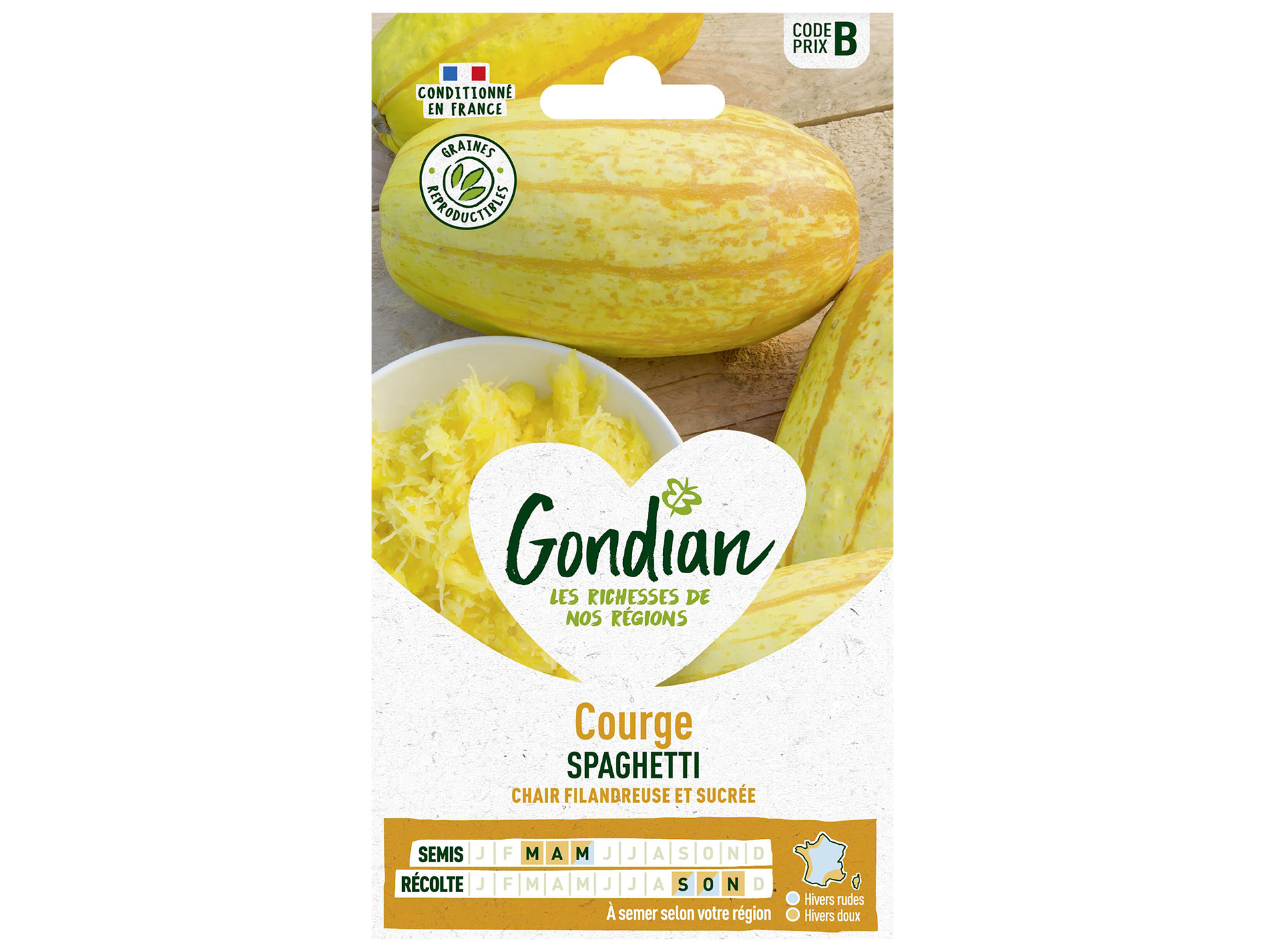 Courge Spaghetti GONDIAN Série B