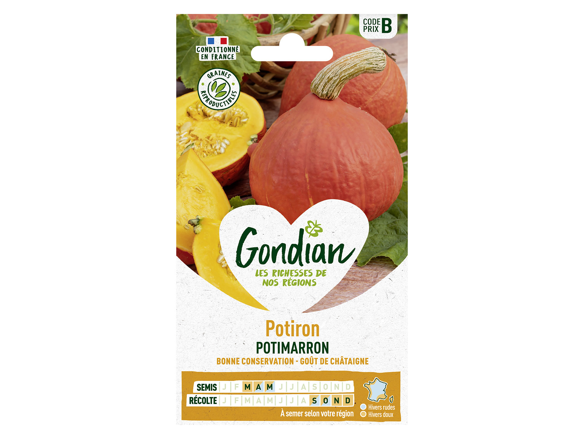 Potiron Potimarron GONDIAN Série B
