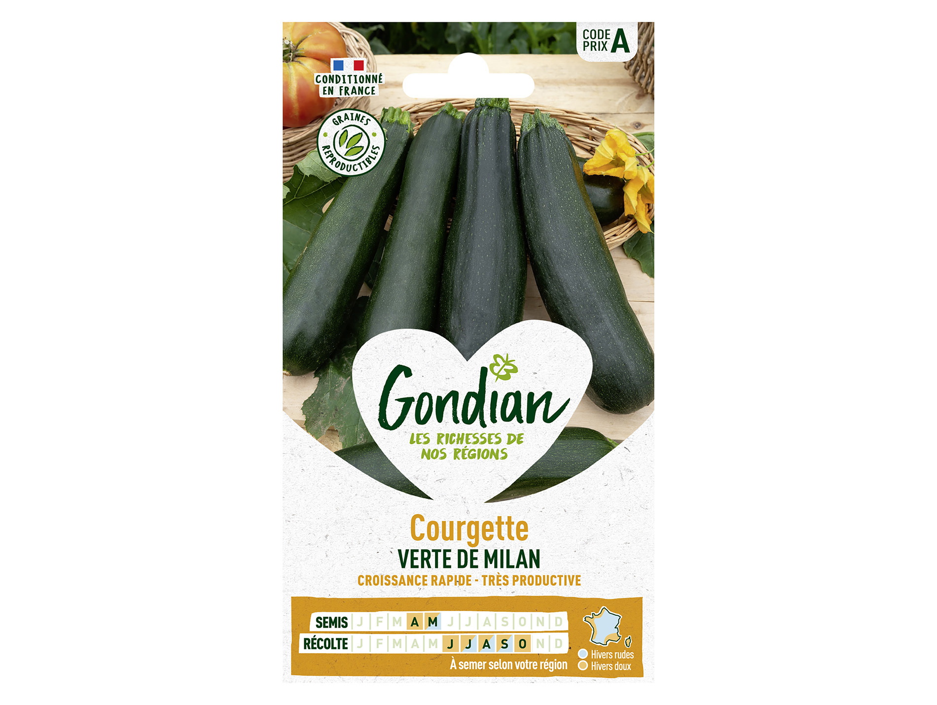 Courgette verte de Milan GONDIAN Série A