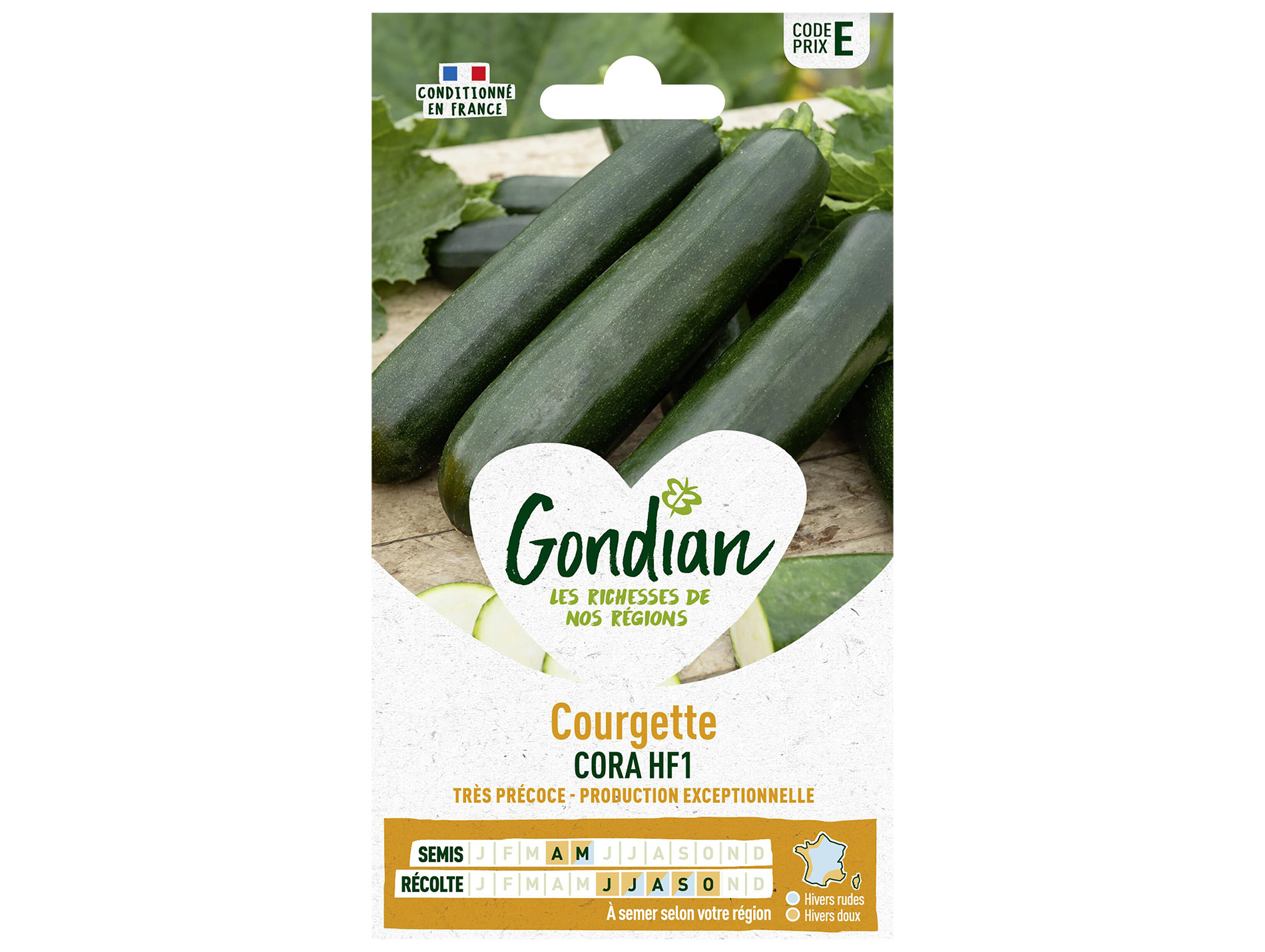 Courgette Cora HF1 GONDIAN Série E