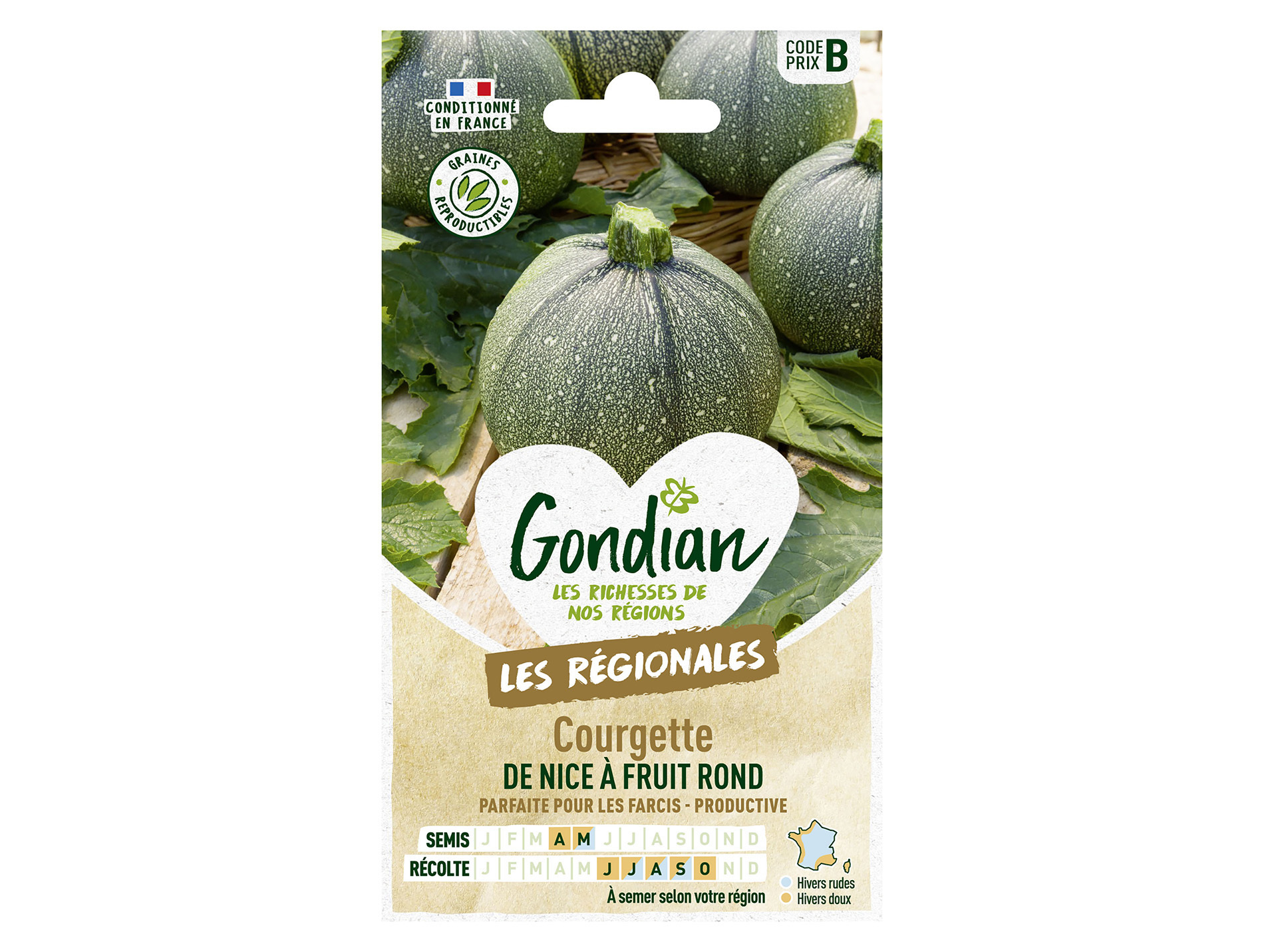Courgette de Nice à fruit rond GONDIAN Série B