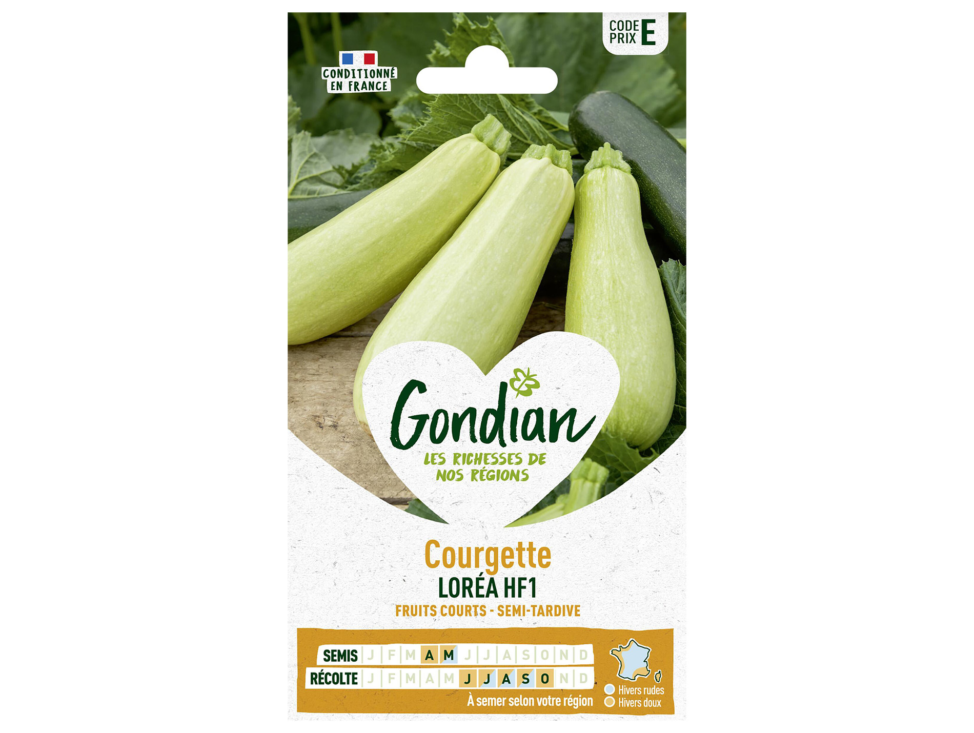 Courgette Loréa HF1 GONDIAN Série E