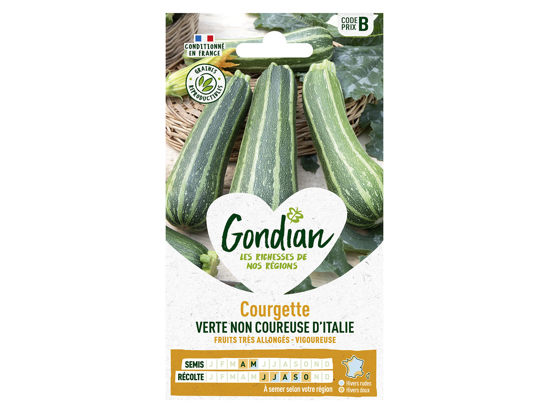 Courgette non coureuse d'Italie GONDIAN Série B