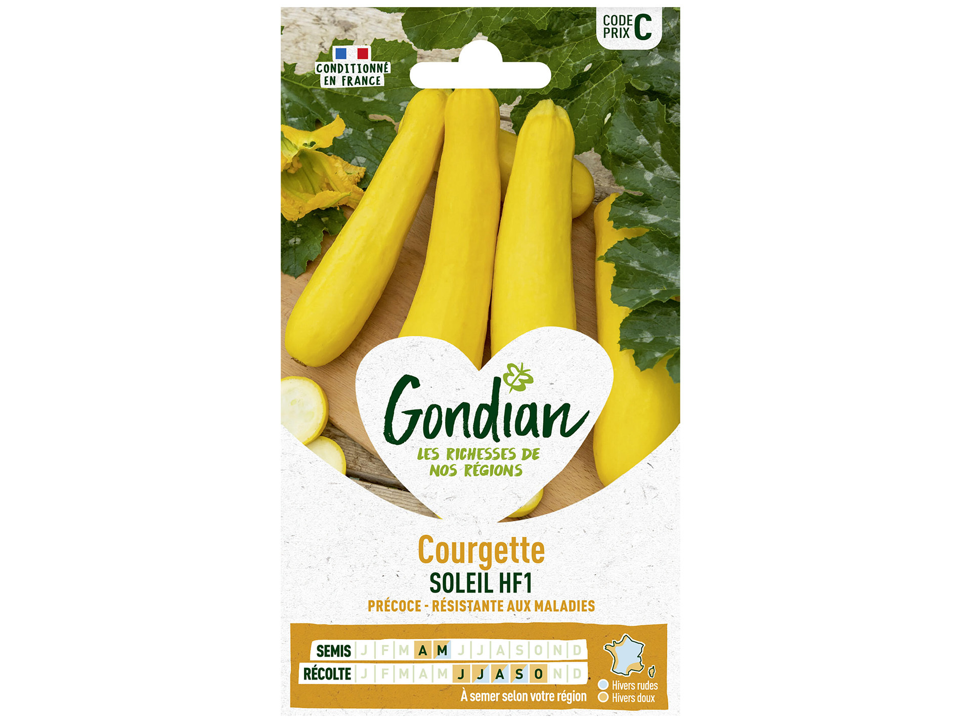 Courgette Soleil HF1 GONDIAN Série C