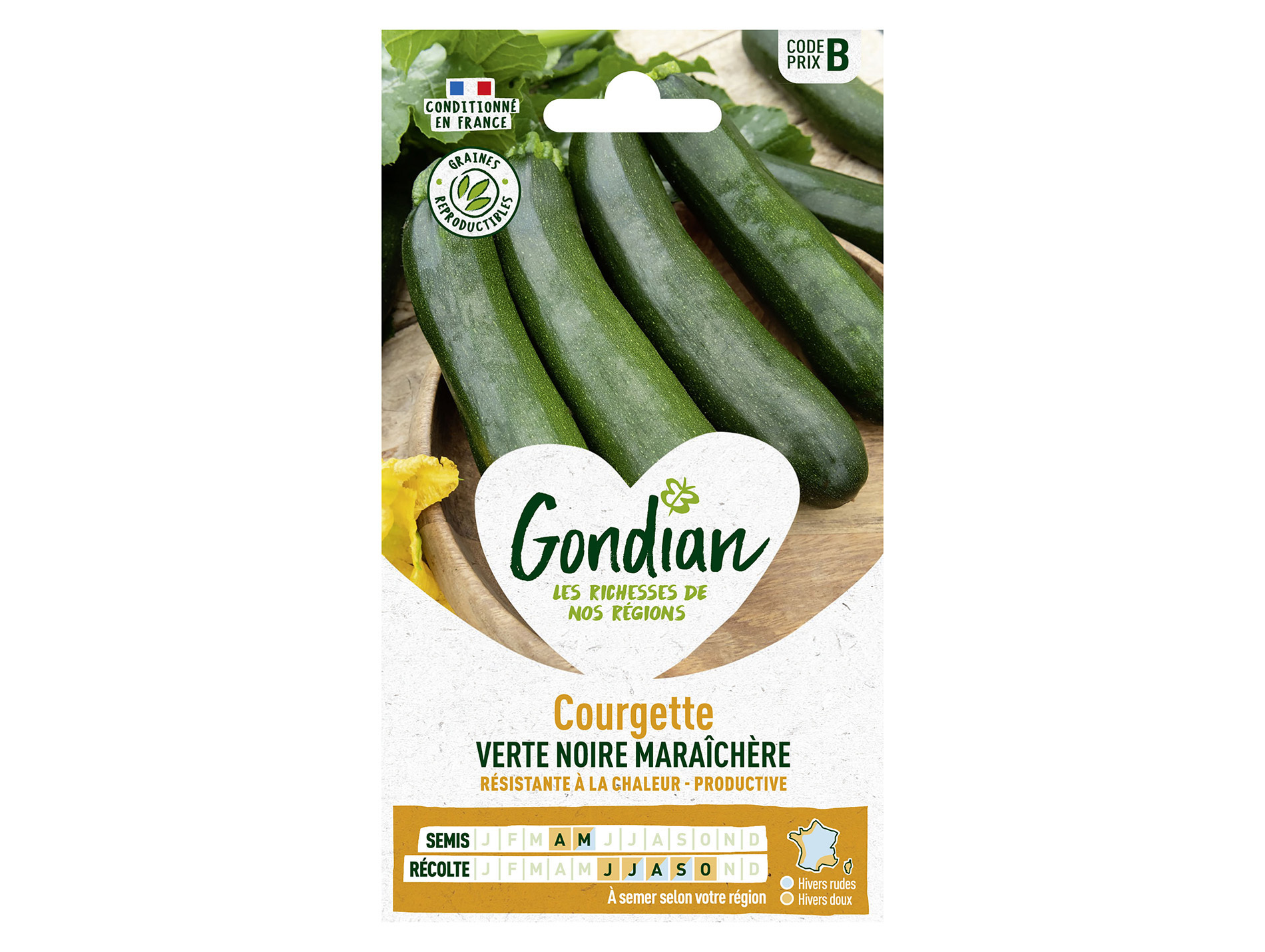 Courgette verte noire maraîchère GONDIAN Série B