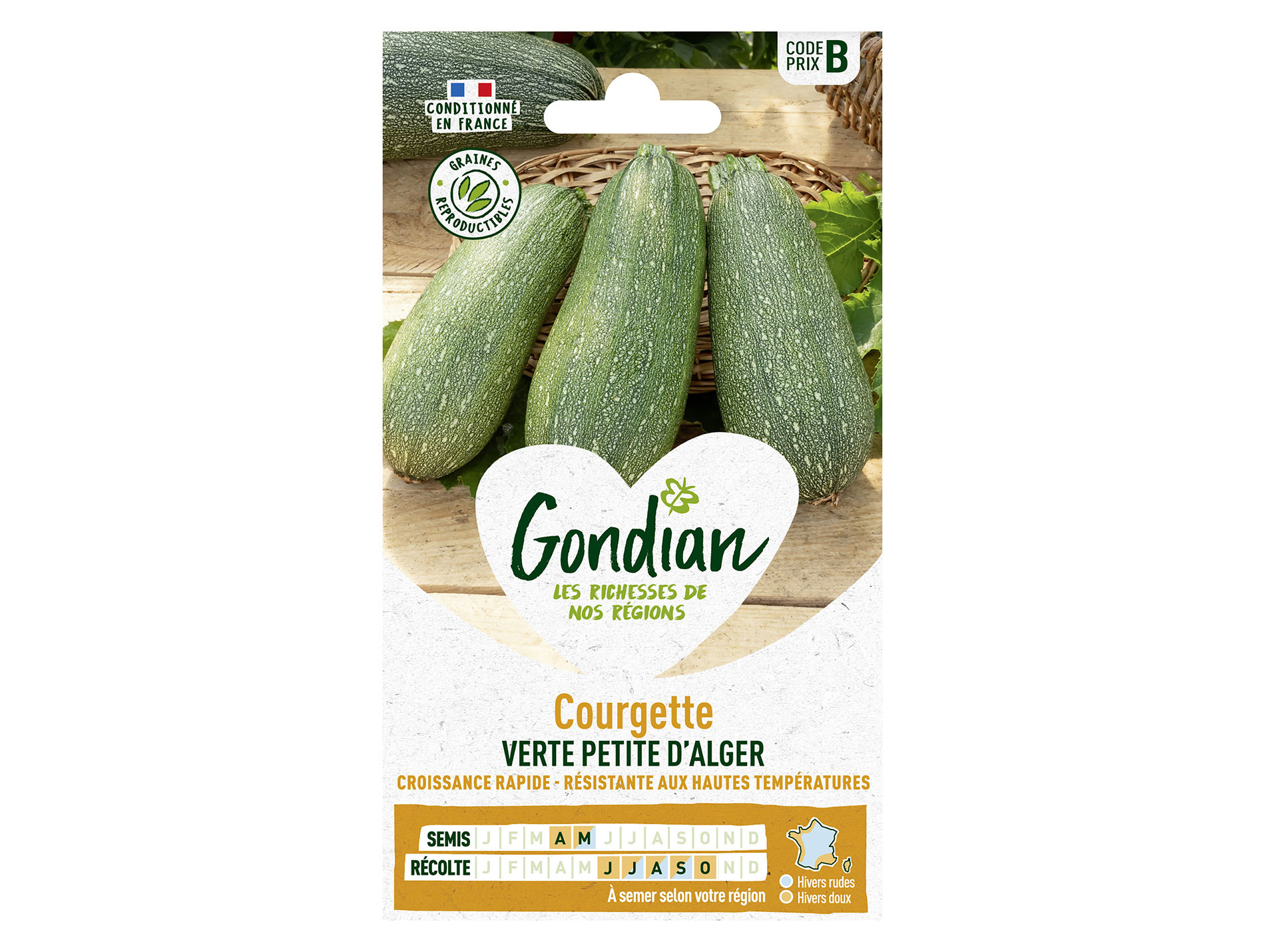 Courgette verte Petit d'Alger GONDIAN Série B