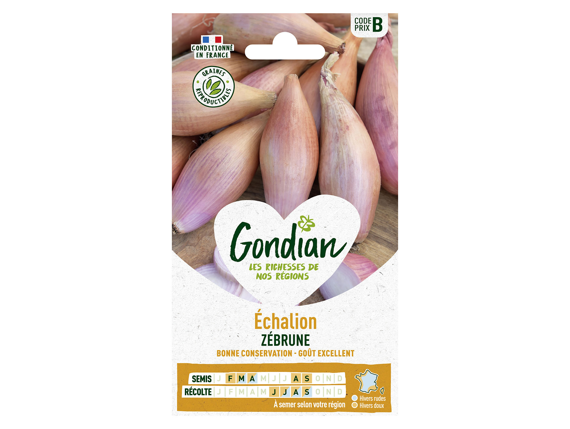 Echalion Zébrune GONDIAN Série B