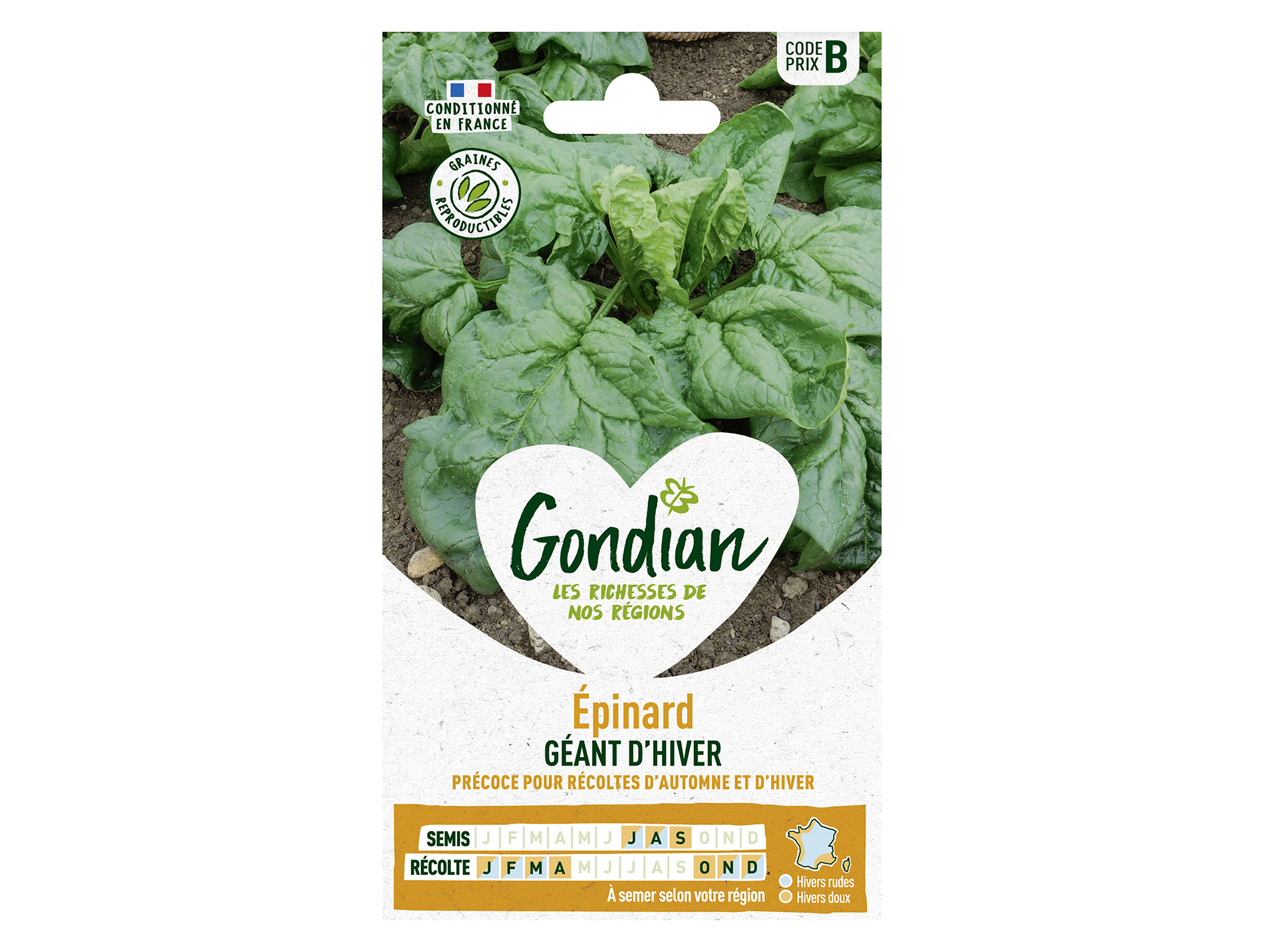 Epinard Géant d'Hiver GONDIAN Série B
