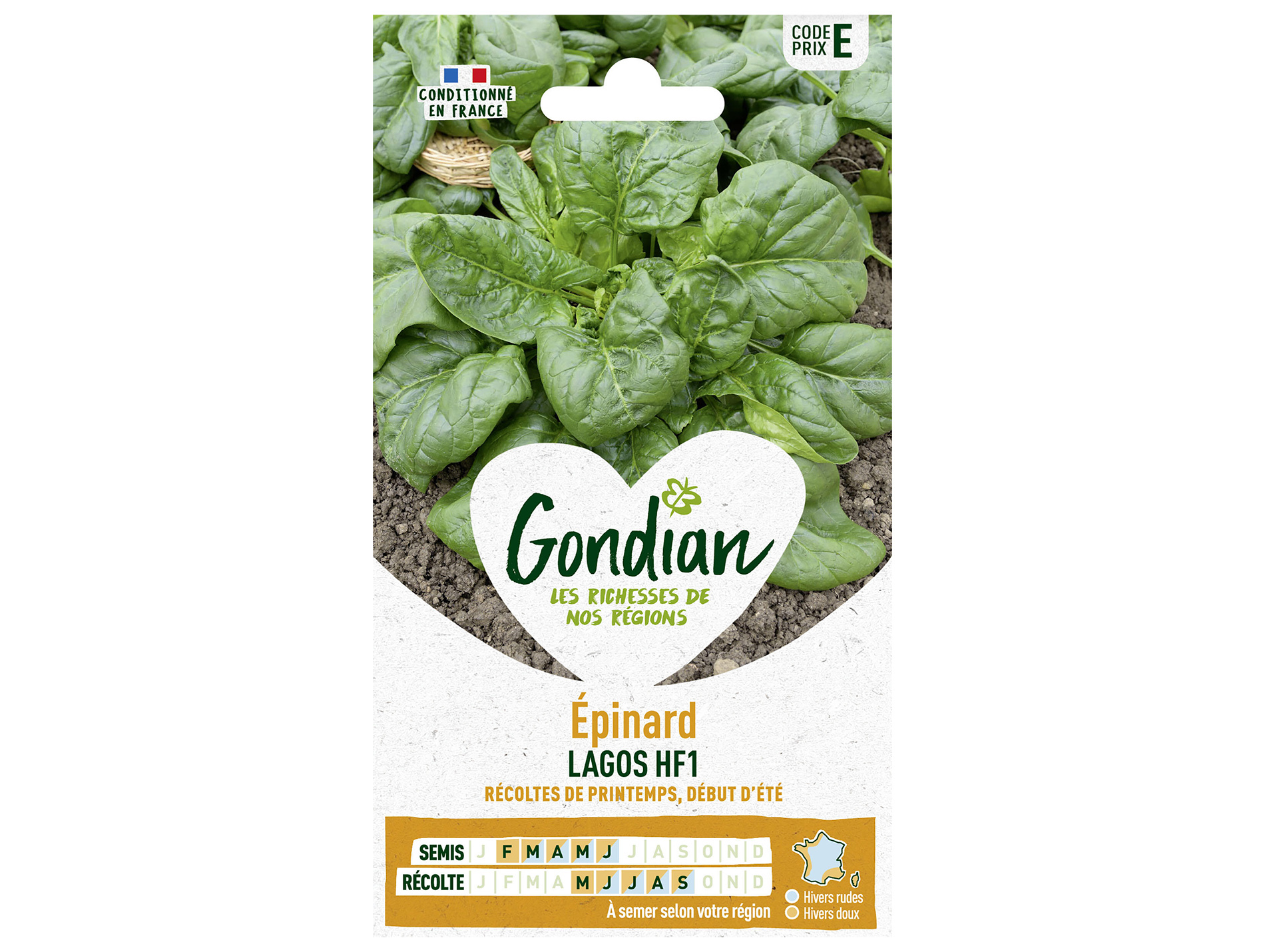 Epinard Lago HF1 GONDIAN Série E