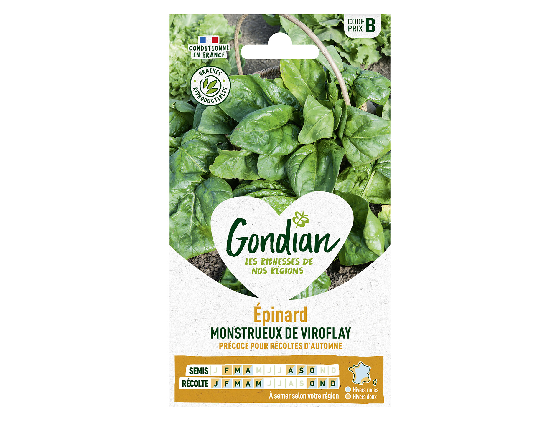 Epinard monstrueux de Viroflay GONDIAN Série B