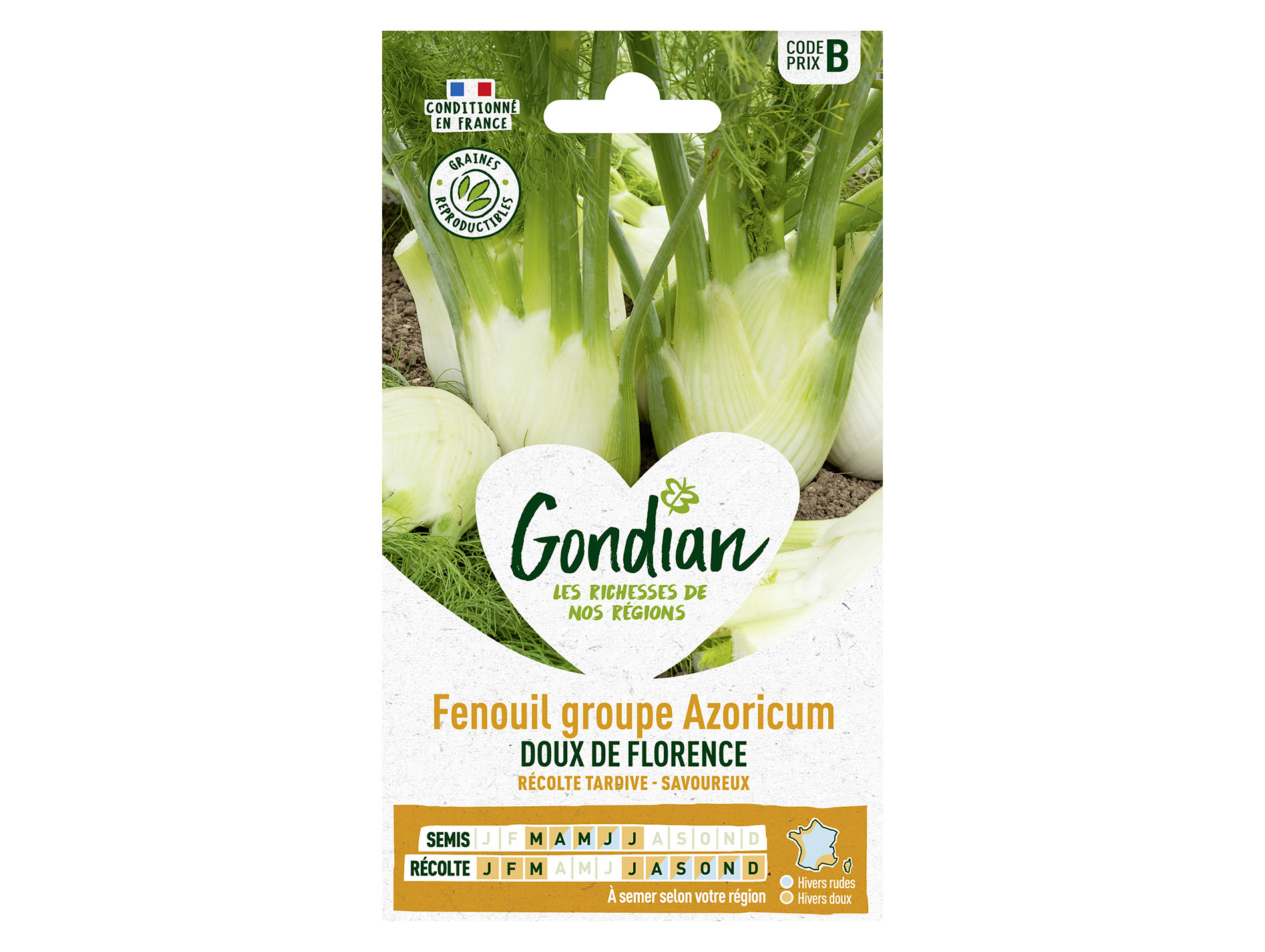 Fenouil doux de Florence GONDIAN Série B