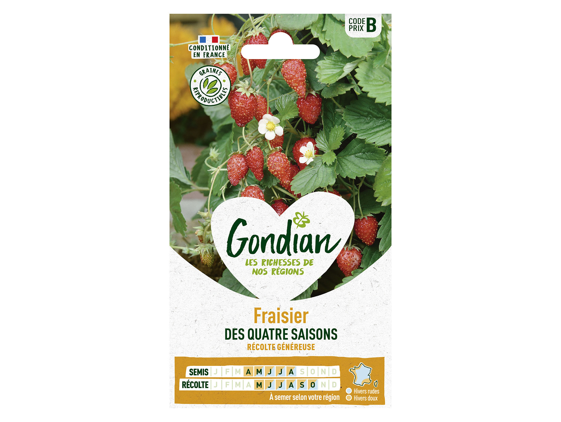 Fraisier 4 saisons GONDIAN Série B