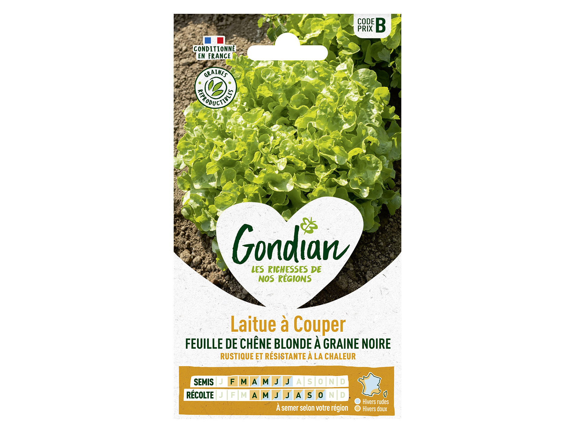 Laitue à couper Feuille de Chêne blonde GONDIAN Série B