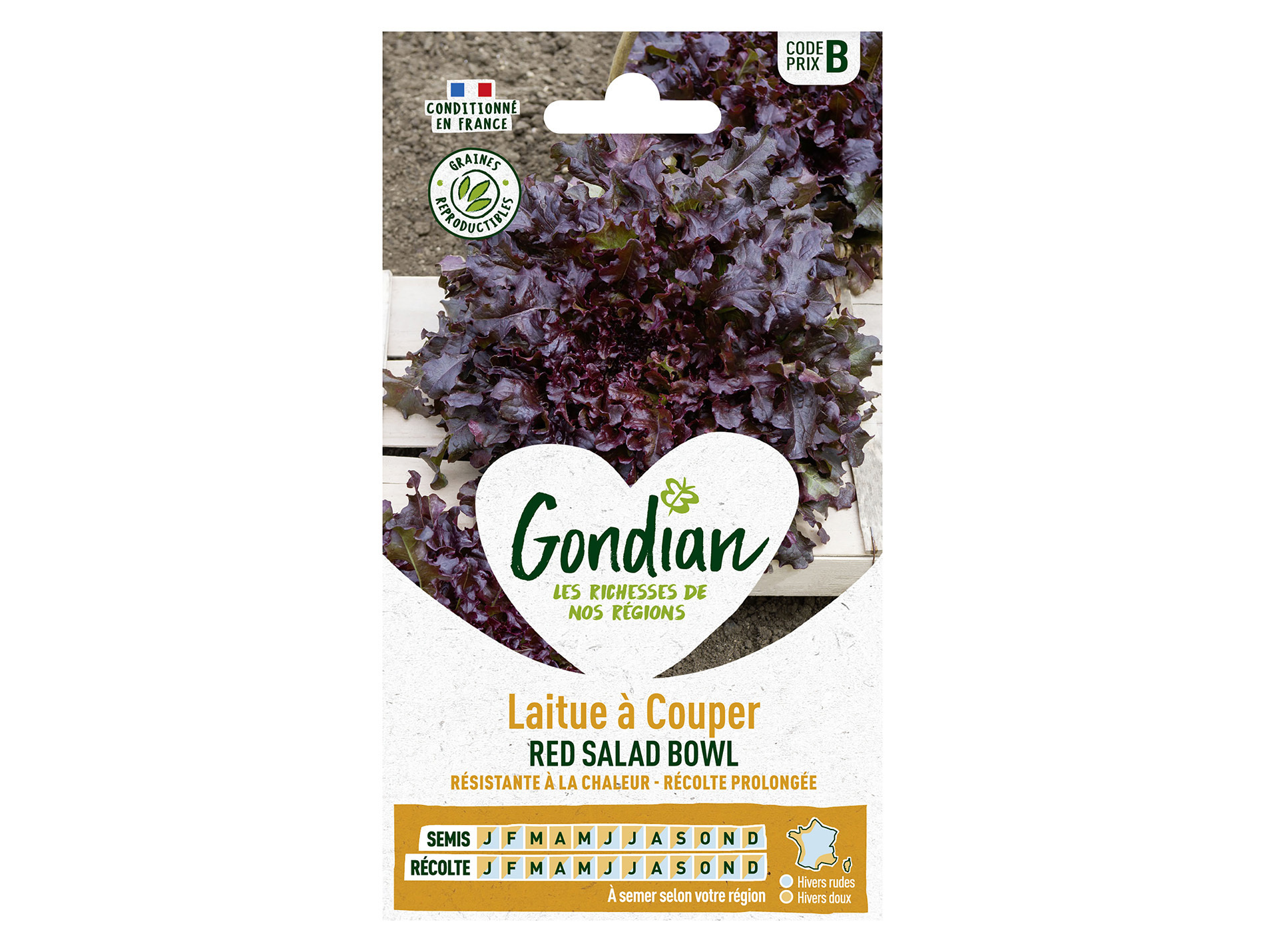 Laitue à couper Red Salad Bowl GONDIAN Série B