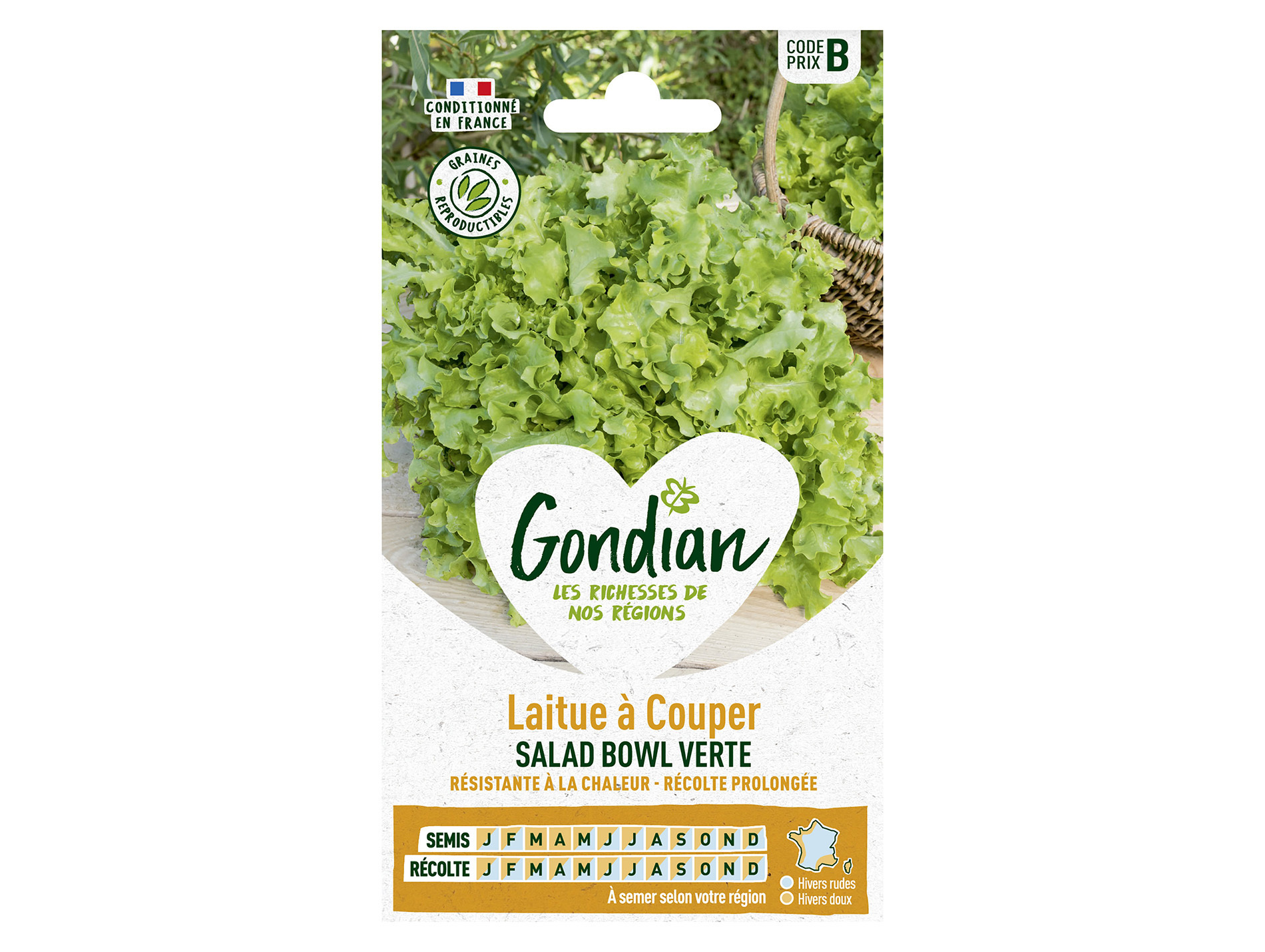 Laitue à couper Salad Bowl verte GONDIAN Série B