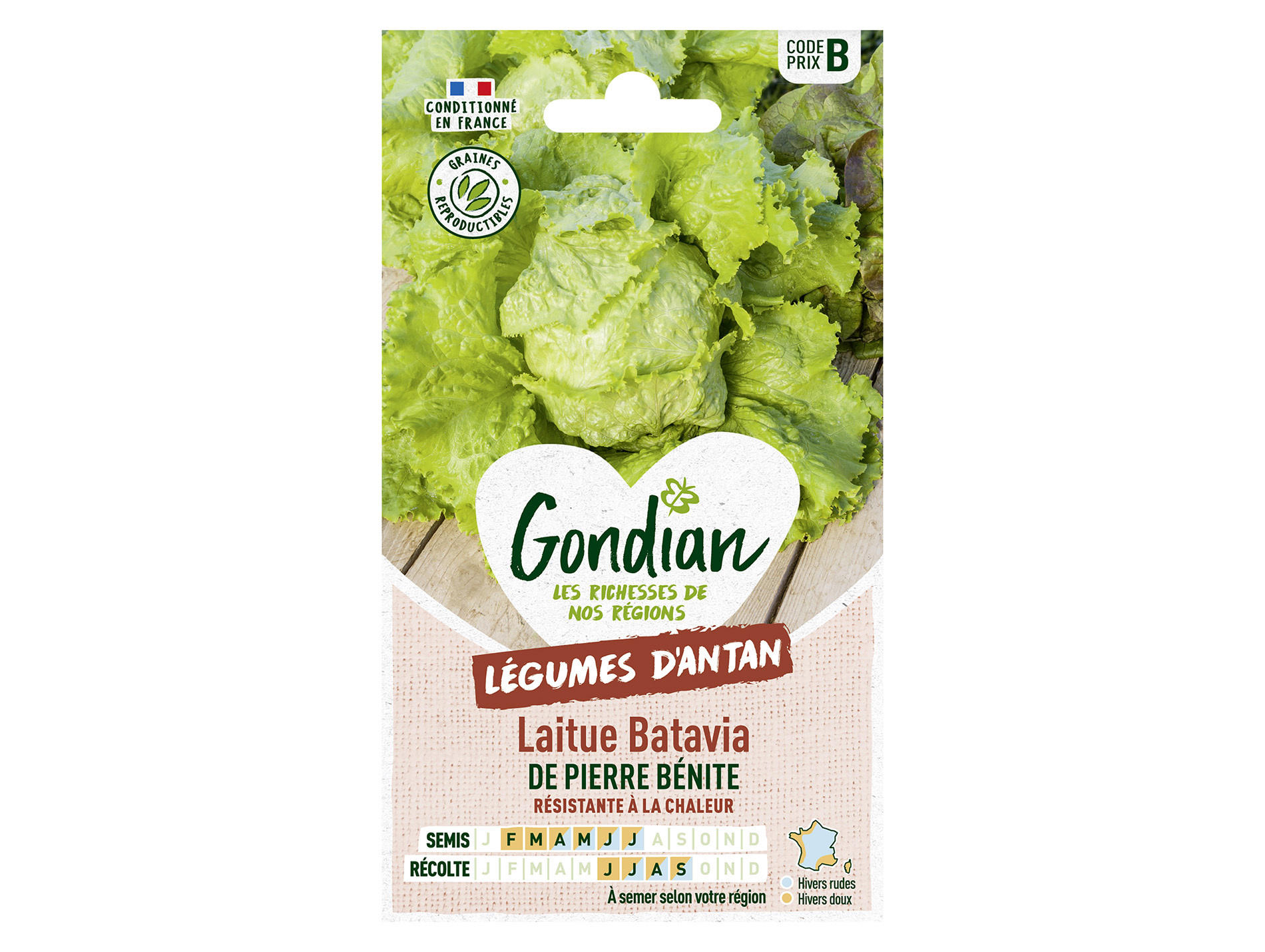 Laitue batavia Pierre Bénite GONDIAN Série B