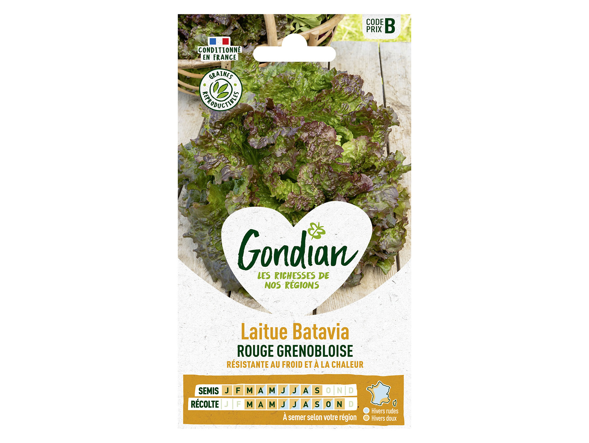 Laitue batavia rouge Grenobloise GONDIAN Série E