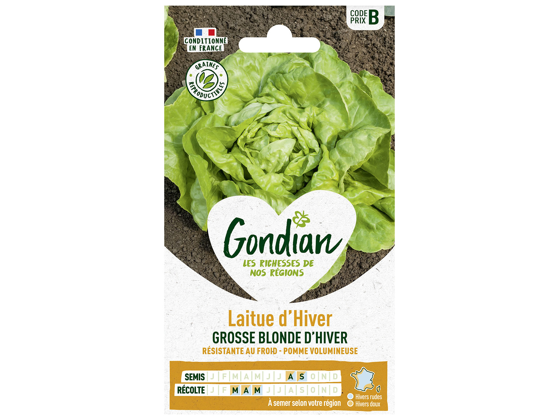 Laitue blonde d'Hiver GONDIAN Série B