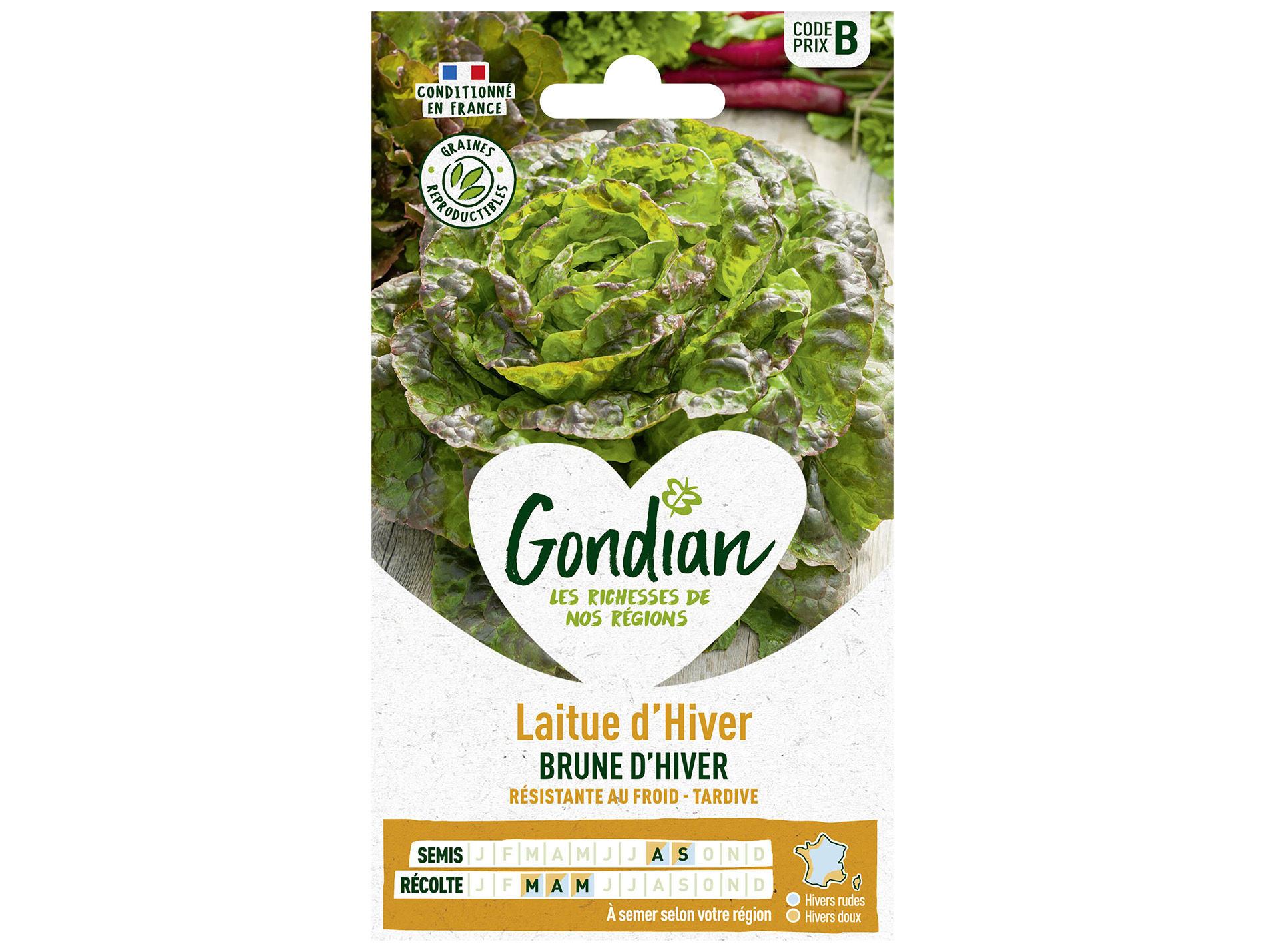 Laitue brune d'Hiver GONDIAN Série B
