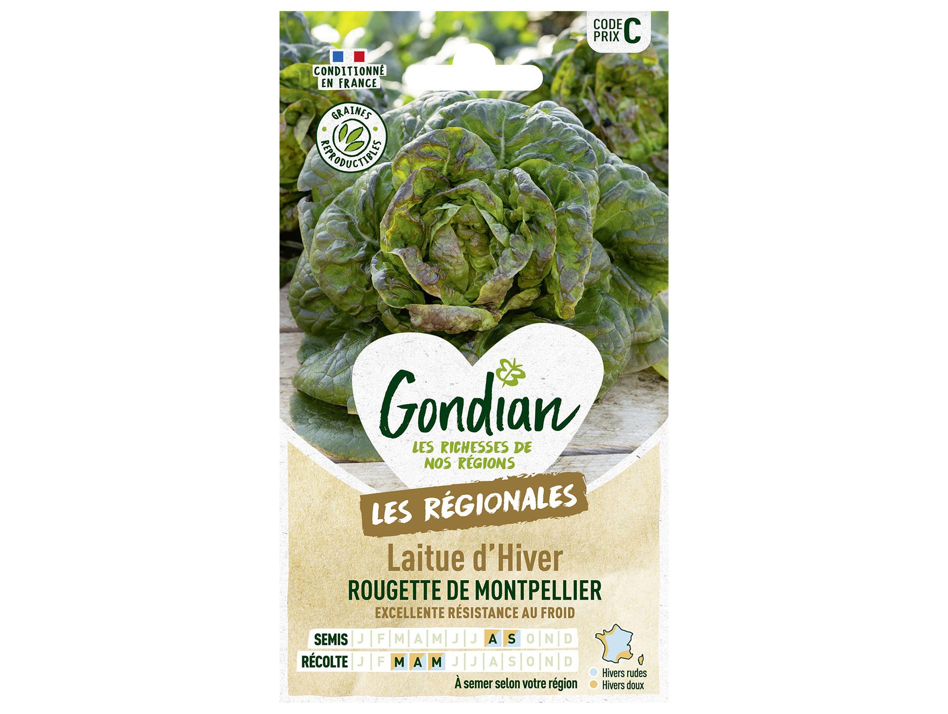 Laitue d'Hiver rougette de Montpellier GONDIAN Série C
