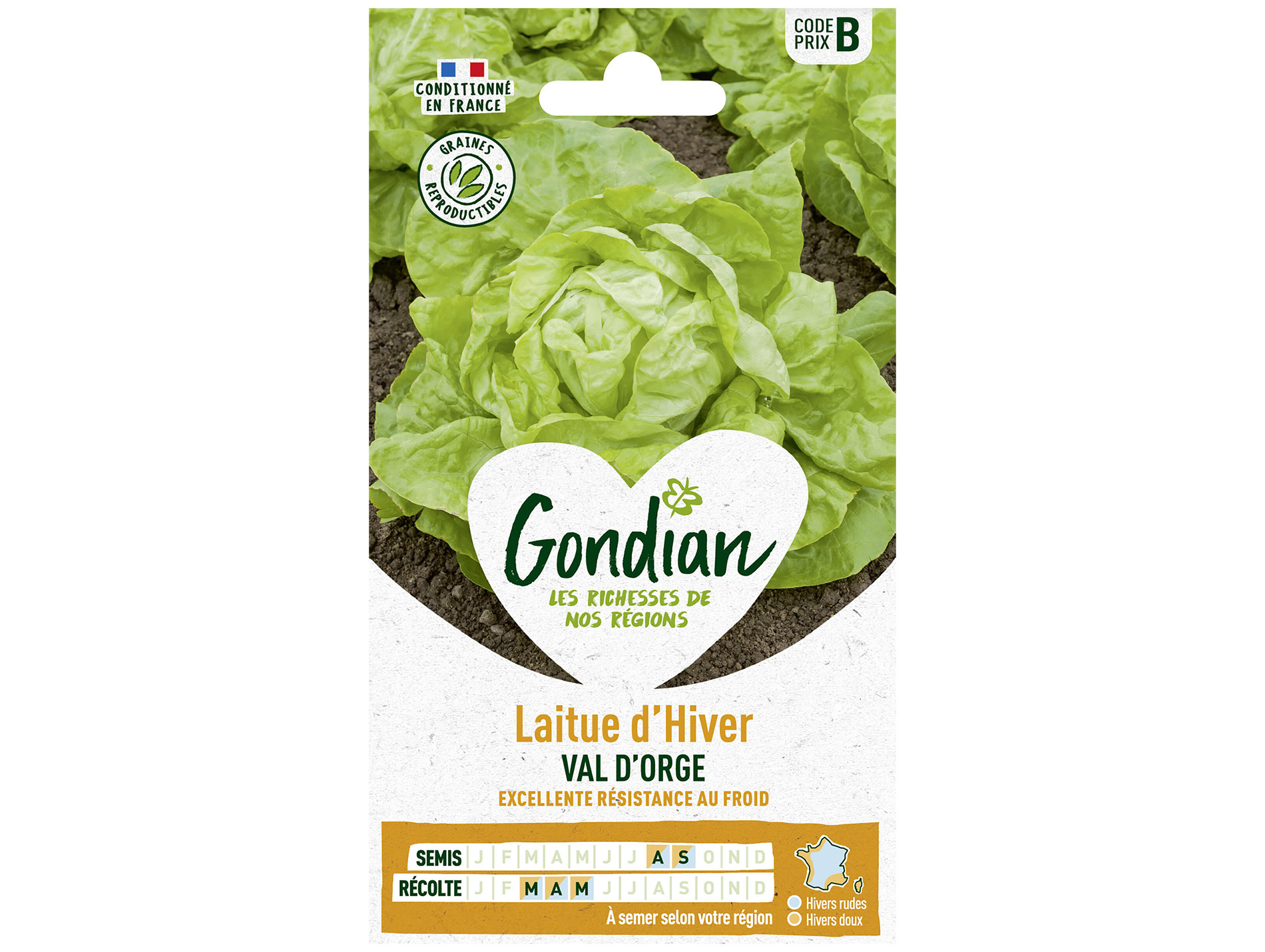 Laitue d'Hiver Val d'Orge GONDIAN Série B